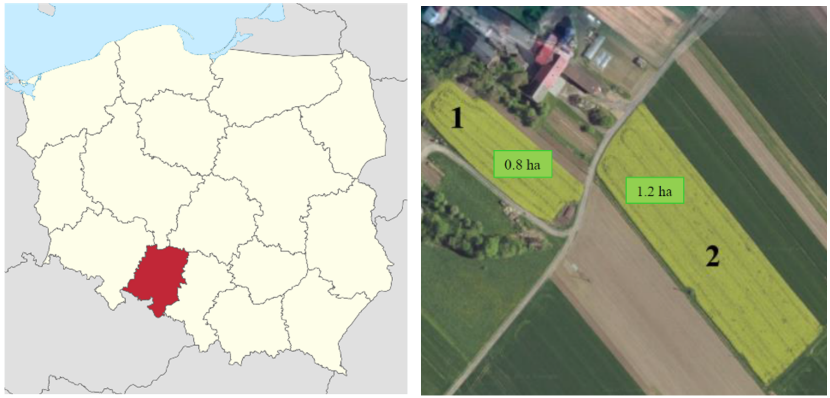 Agriculture 12 00481 g001