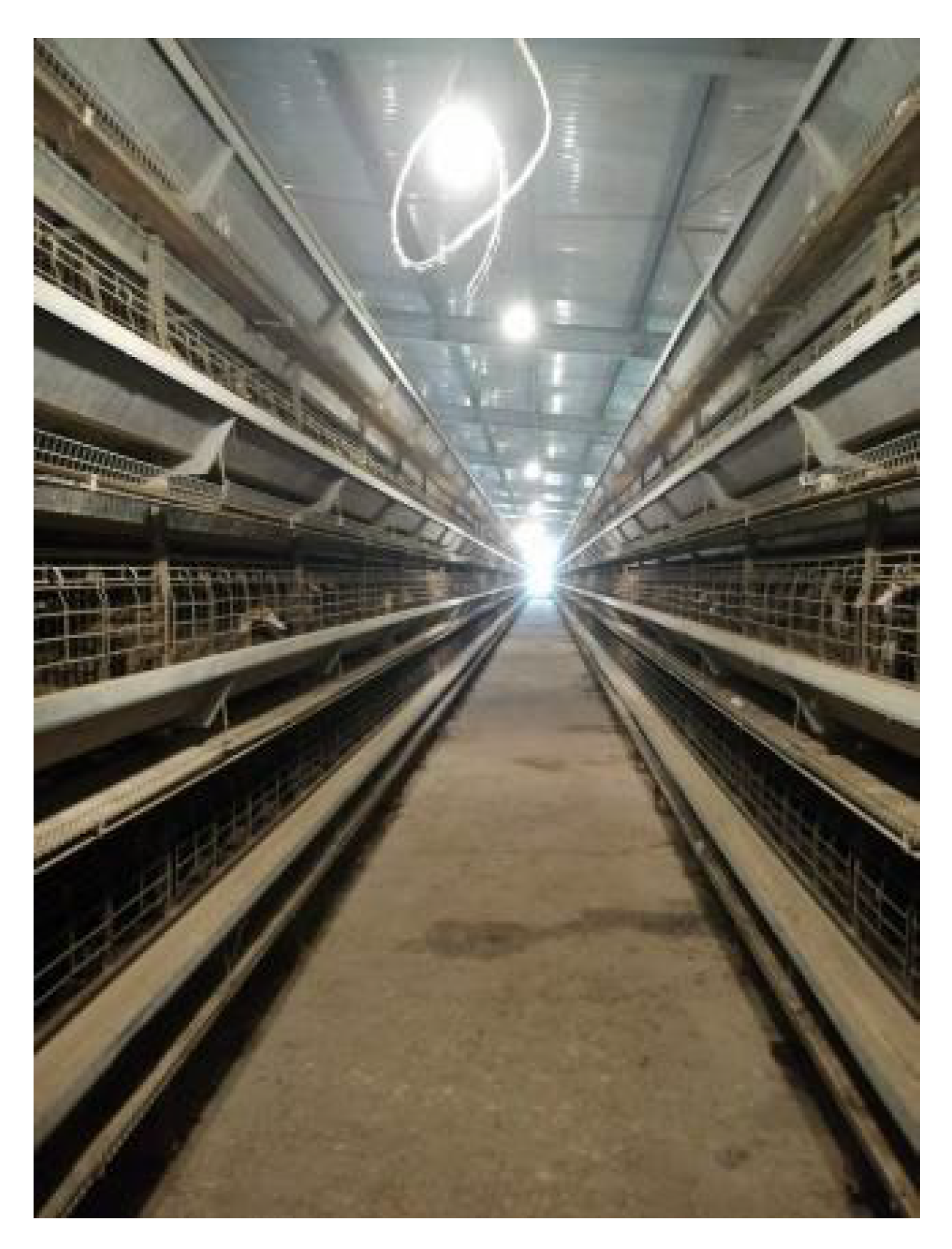 Agriculture 12 00485 g002 550