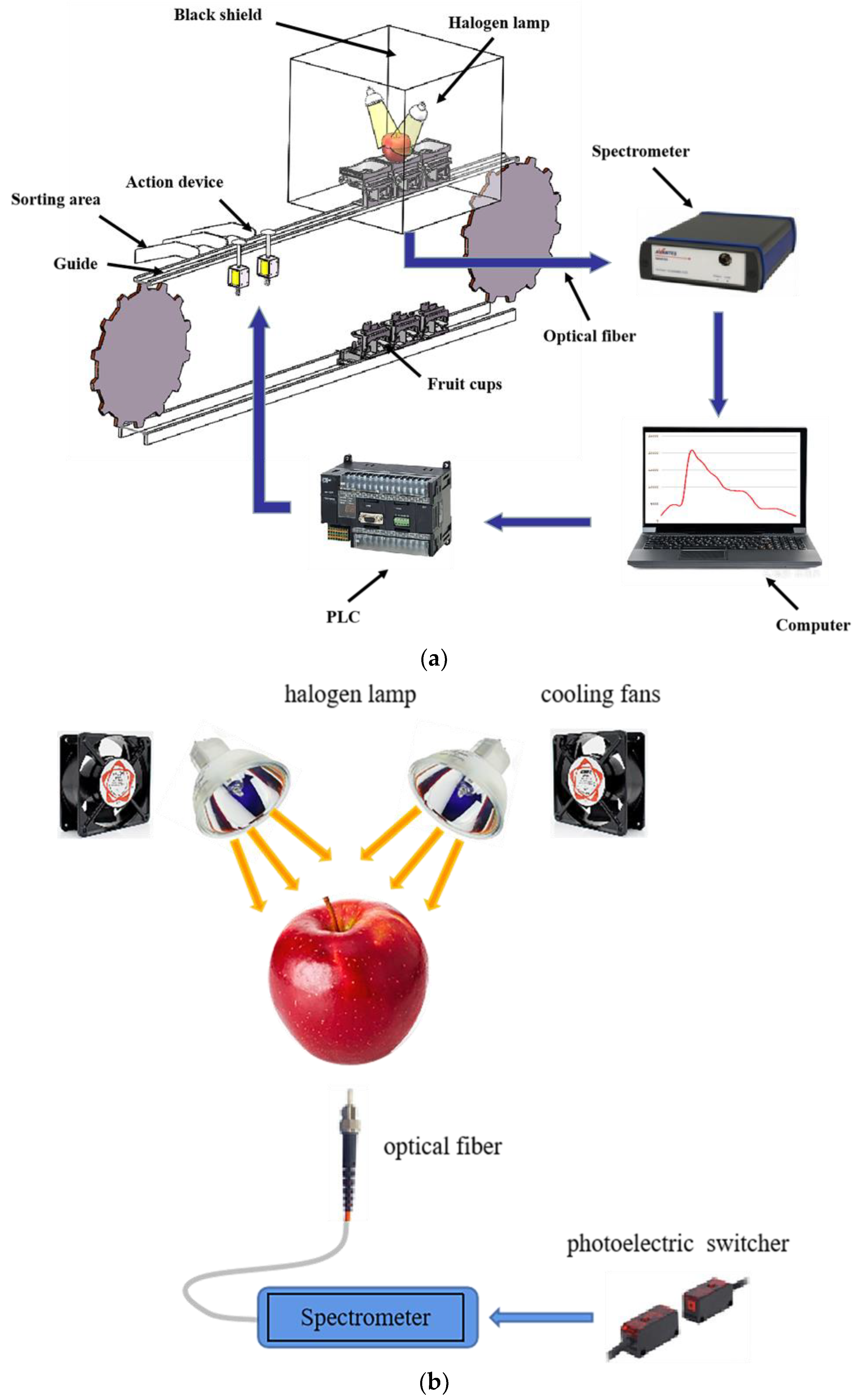 Agriculture 12 00489 g001