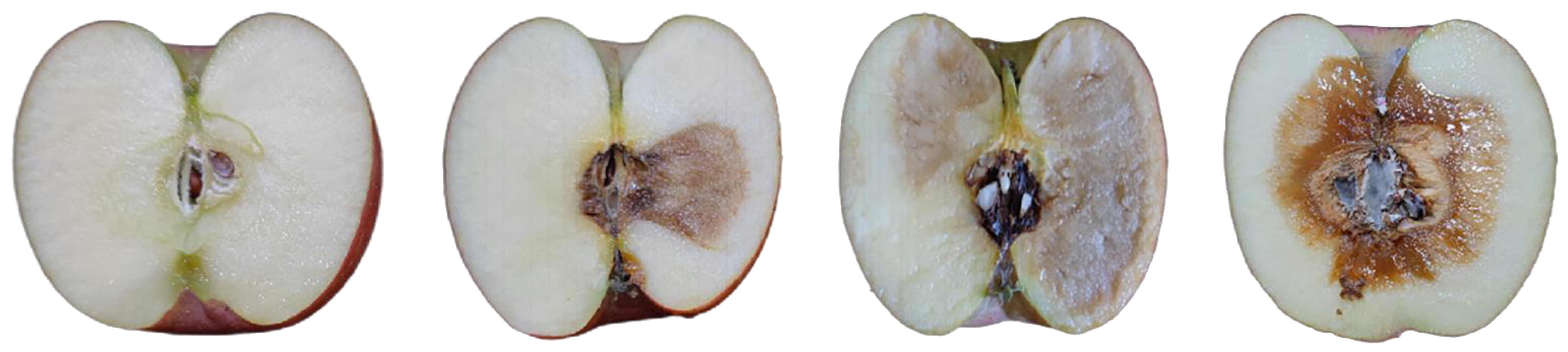 Agriculture 12 00489 g010