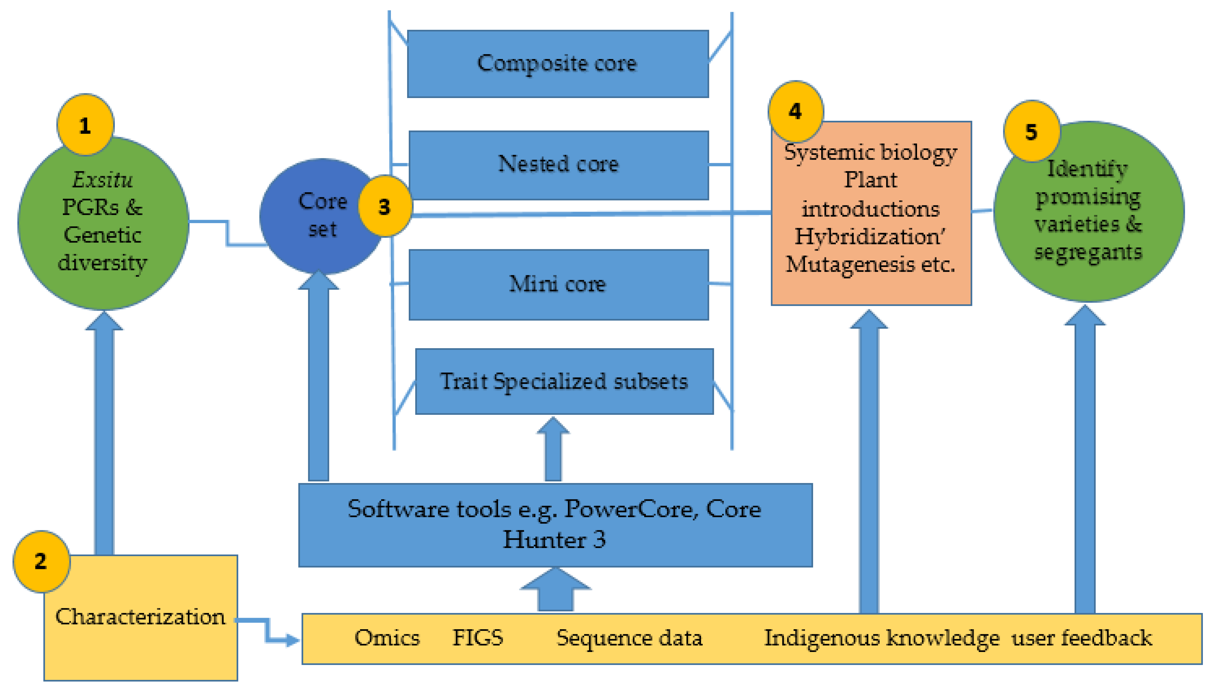 Agriculture Free Full-Text