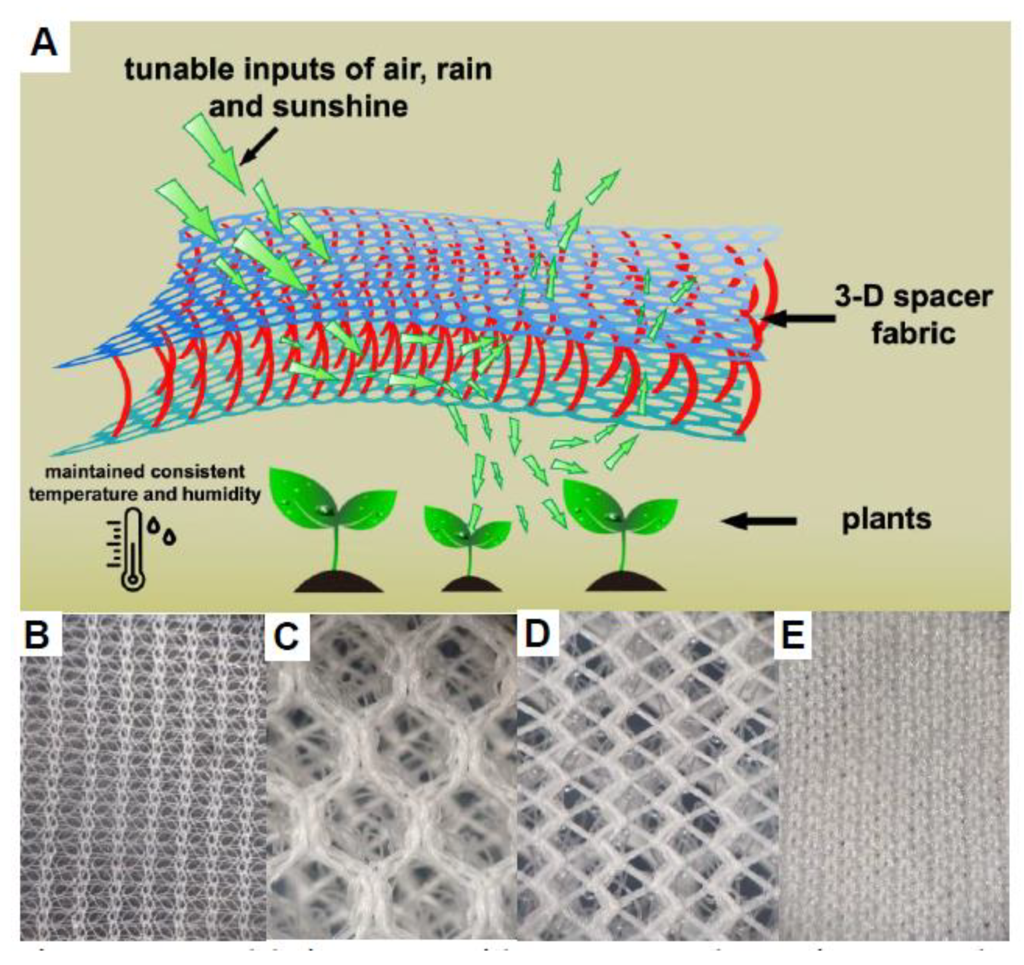 Agriculture 12 00498 g002