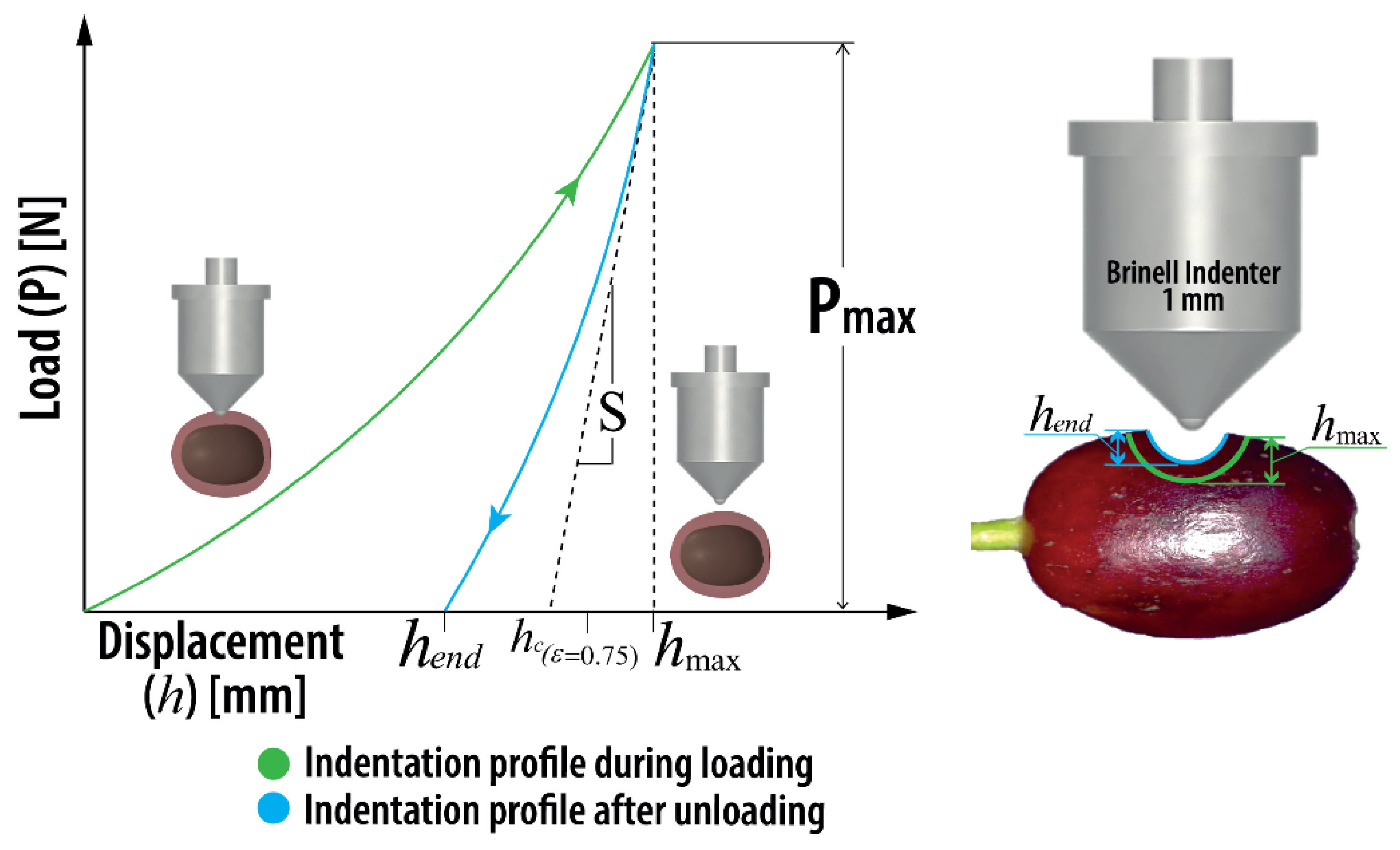 Agriculture 12 00502 g001 Agriculture 12 00502 g001