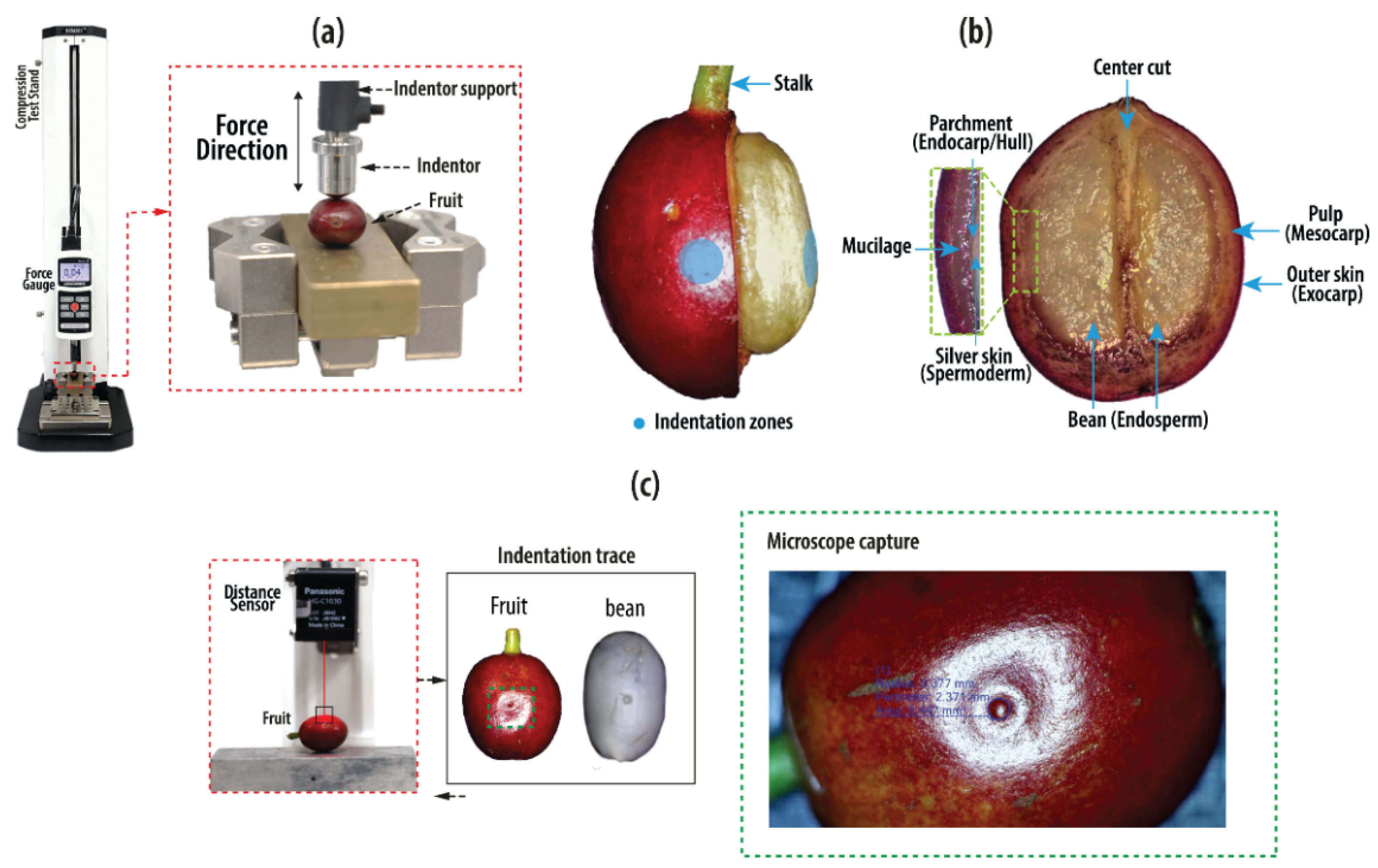 Agriculture 12 00502 g002 Agriculture 12 00502 g002