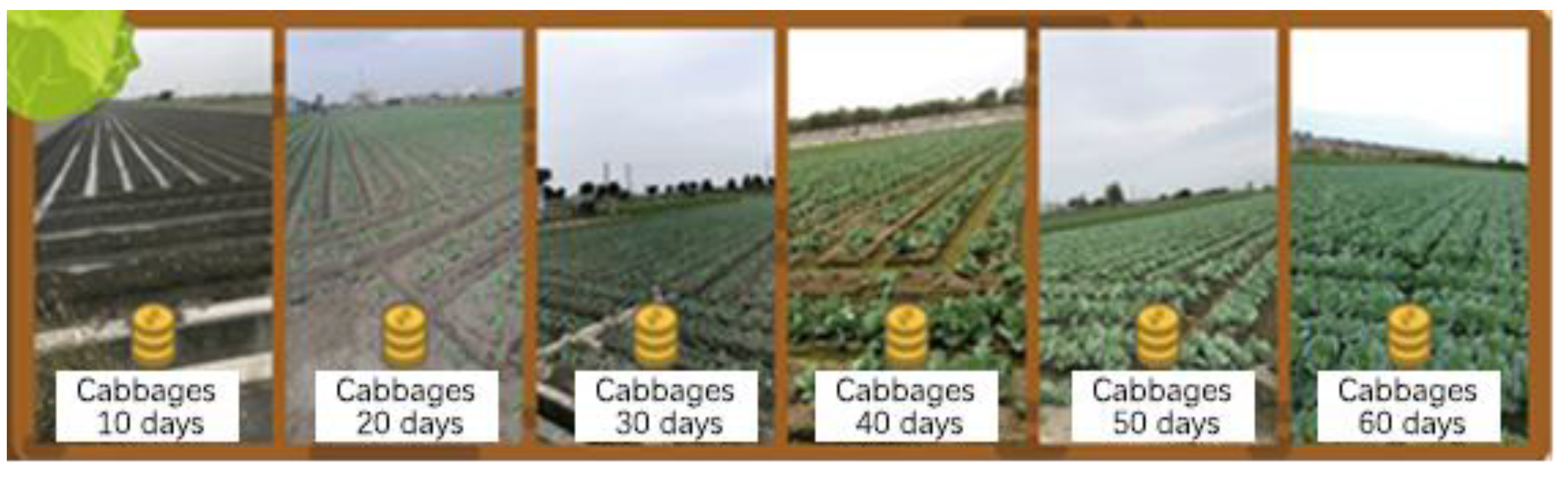 Agriculture 12 00504 g011 550