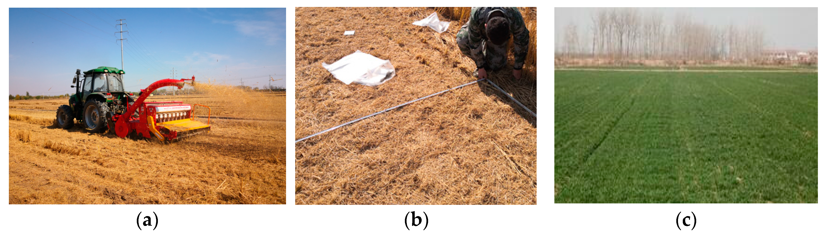 Agriculture 12 00508 g016 550