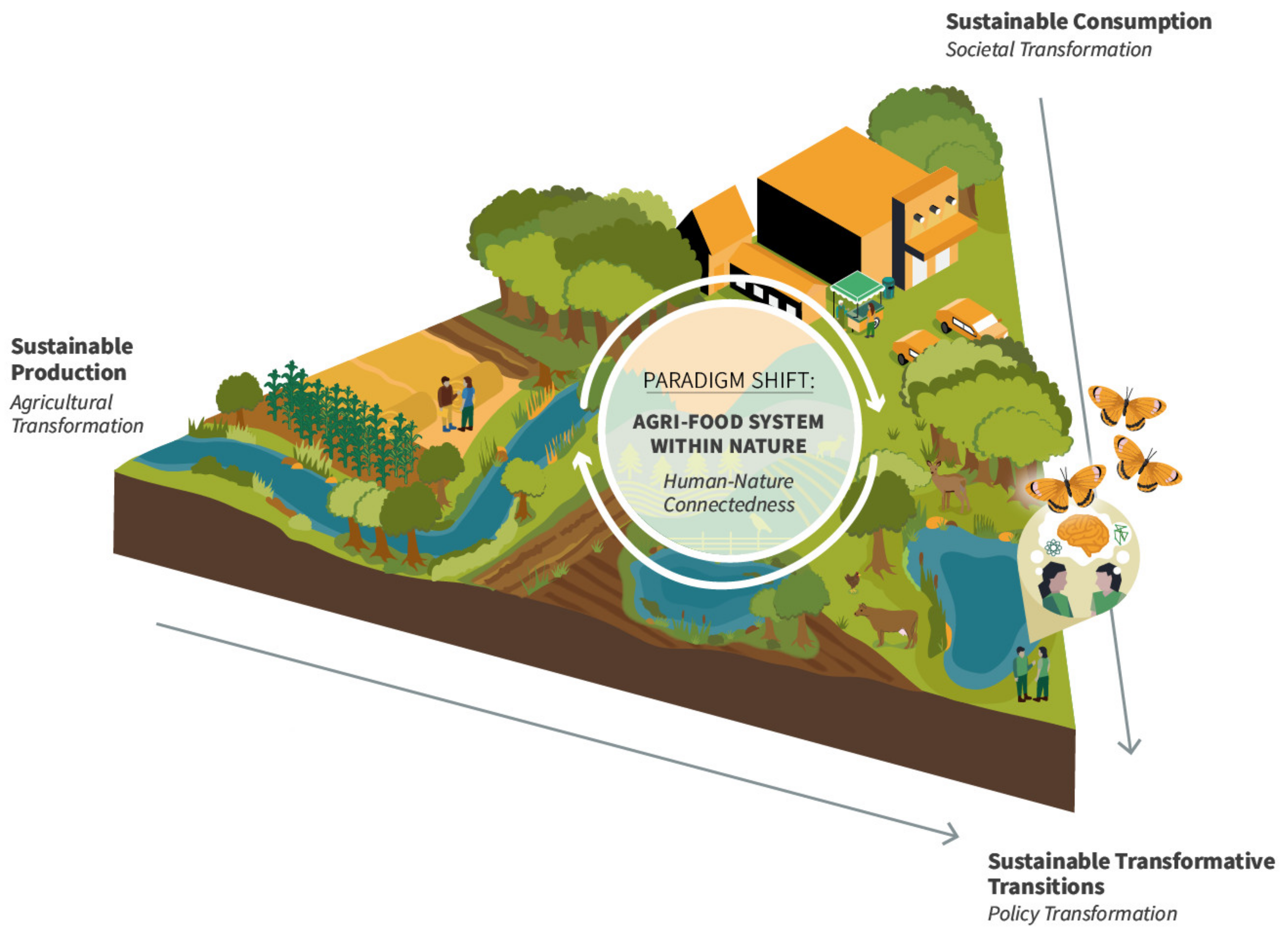 Agriculture 12 00522 g001