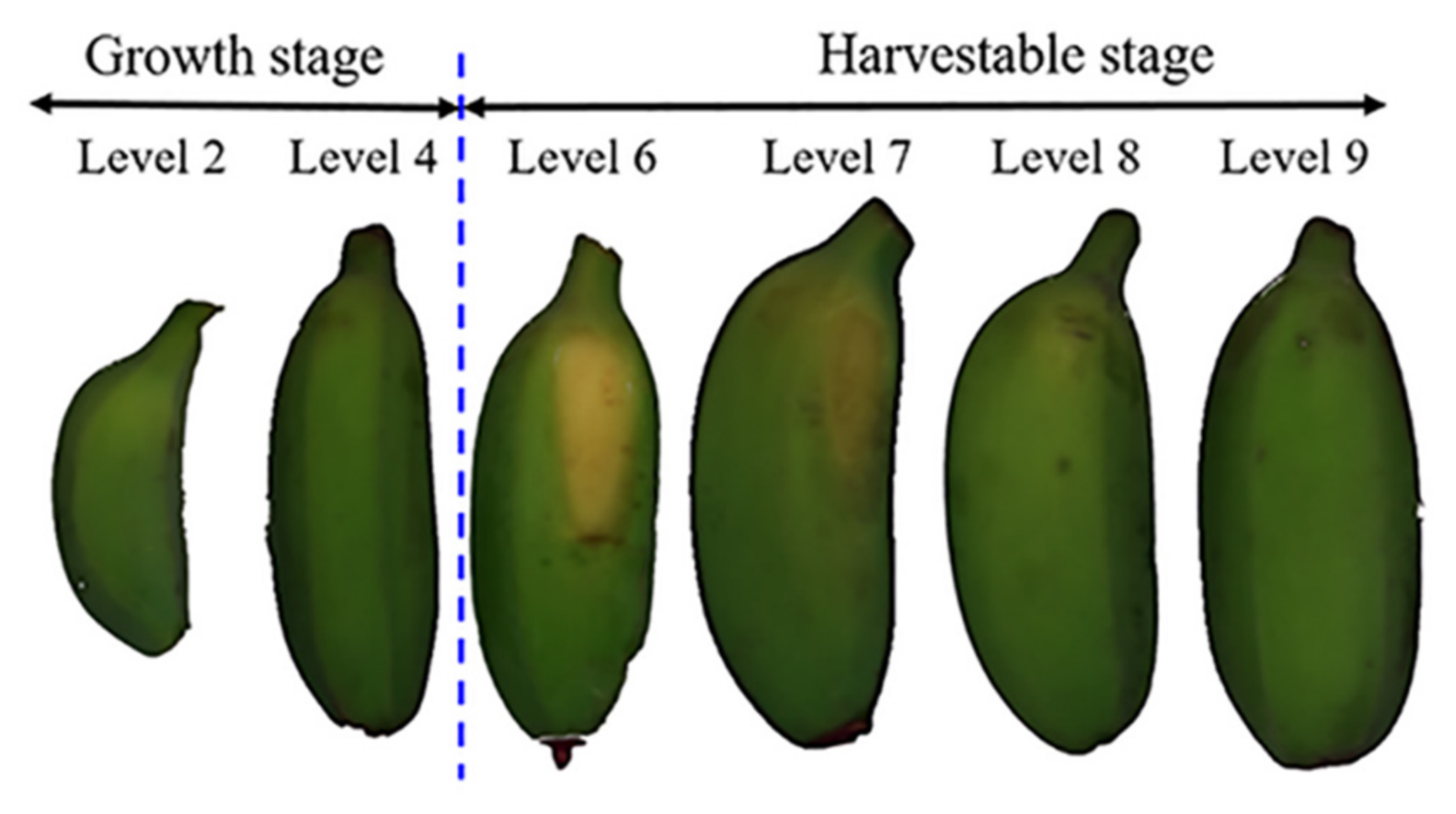 Agriculture 12 00530 g001