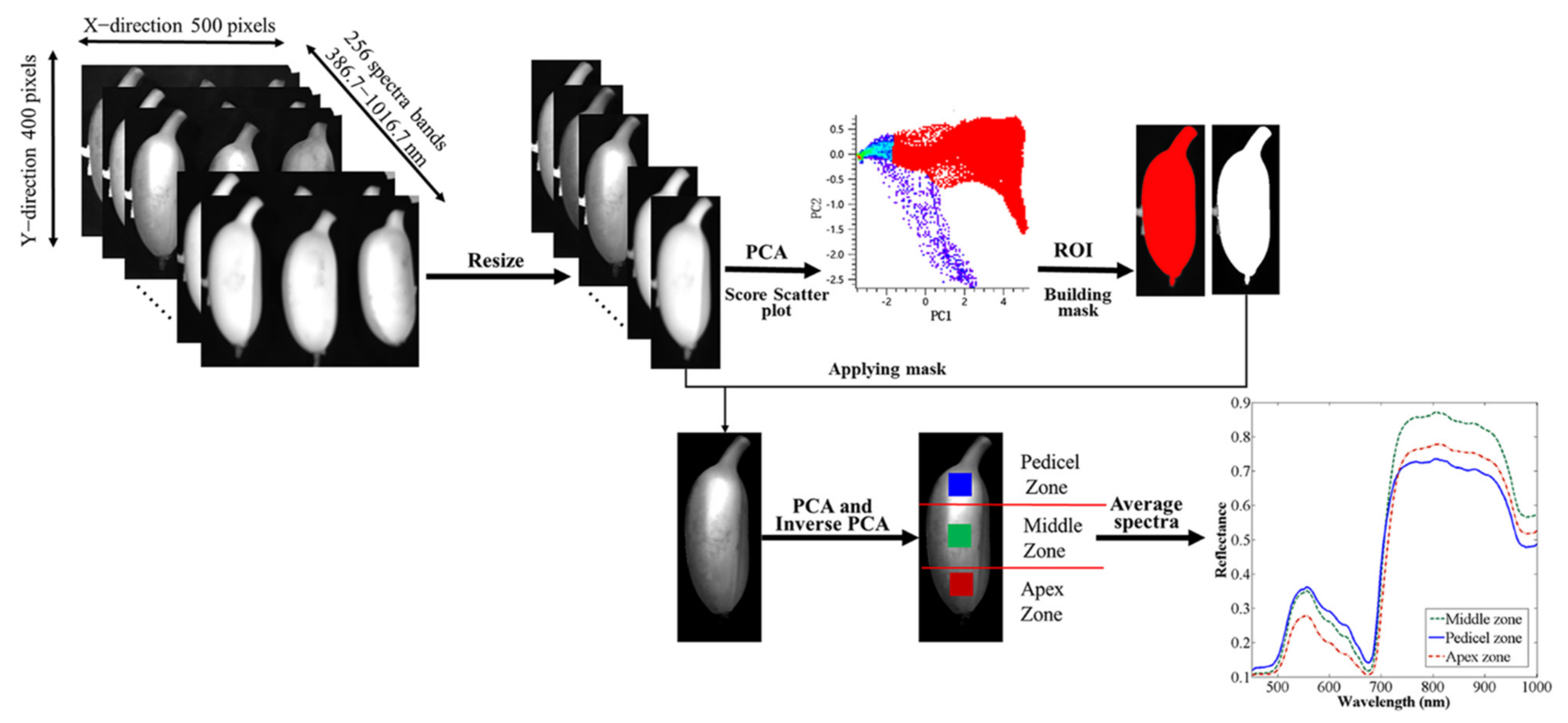 Agriculture 12 00530 g003