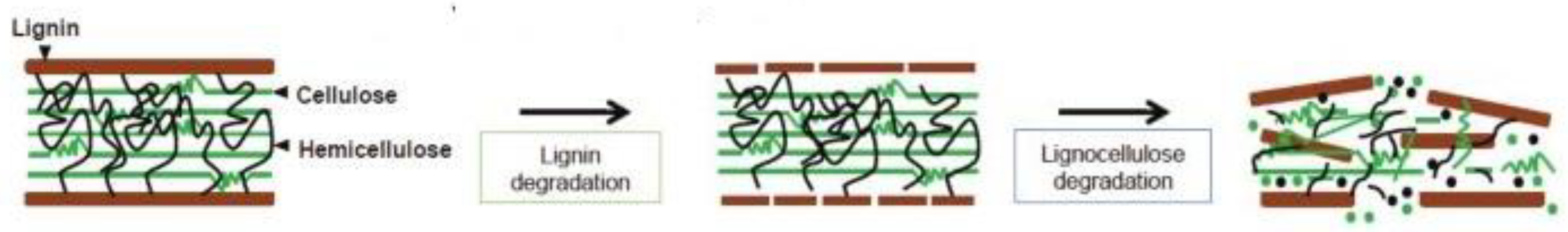 Agriculture 12 00534 g004