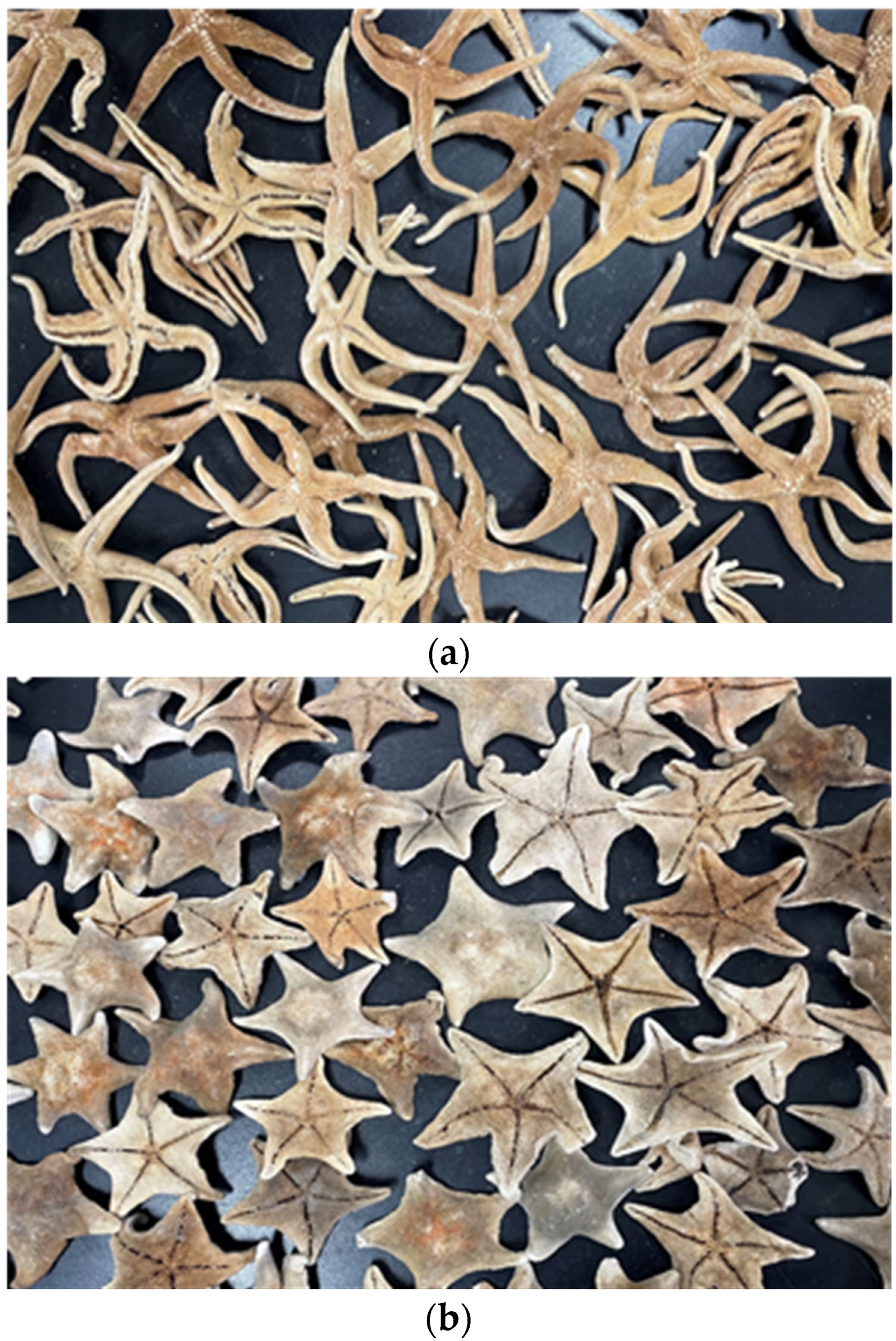 Agriculture 12 00542 g001