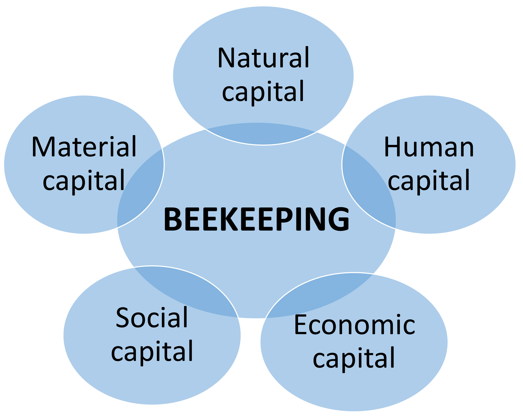 Resources available to help SC beekeepers maximize sales