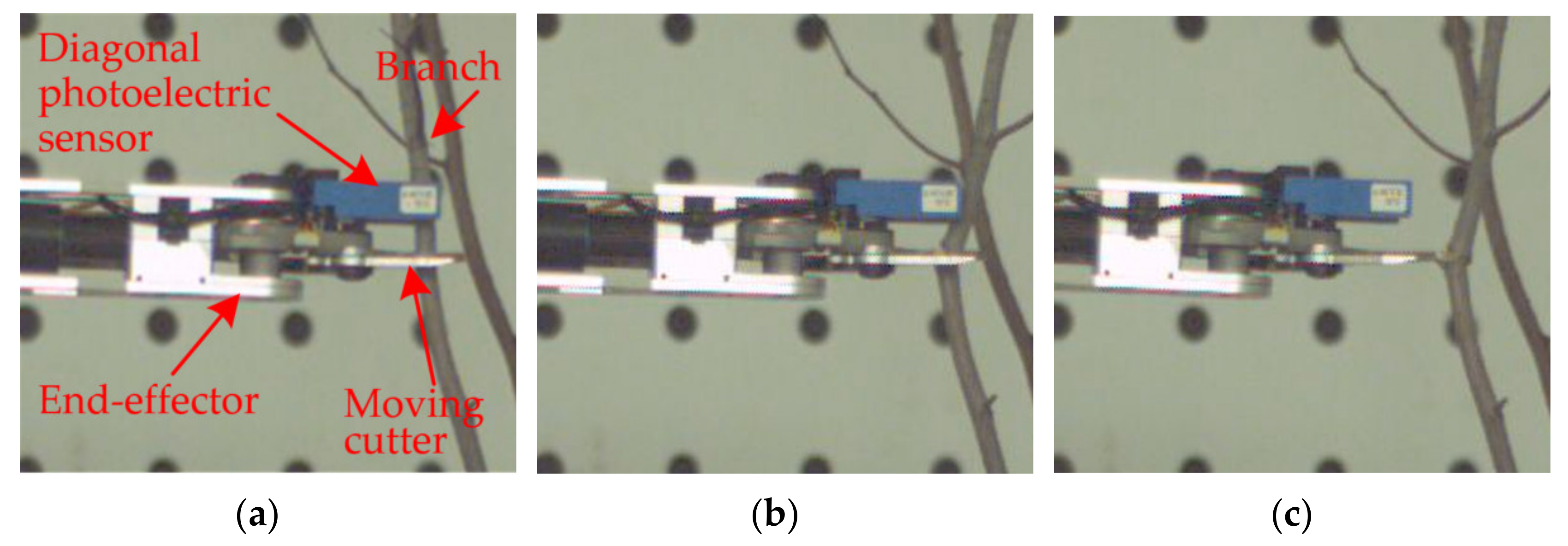 Agriculture 12 00552 g015 550