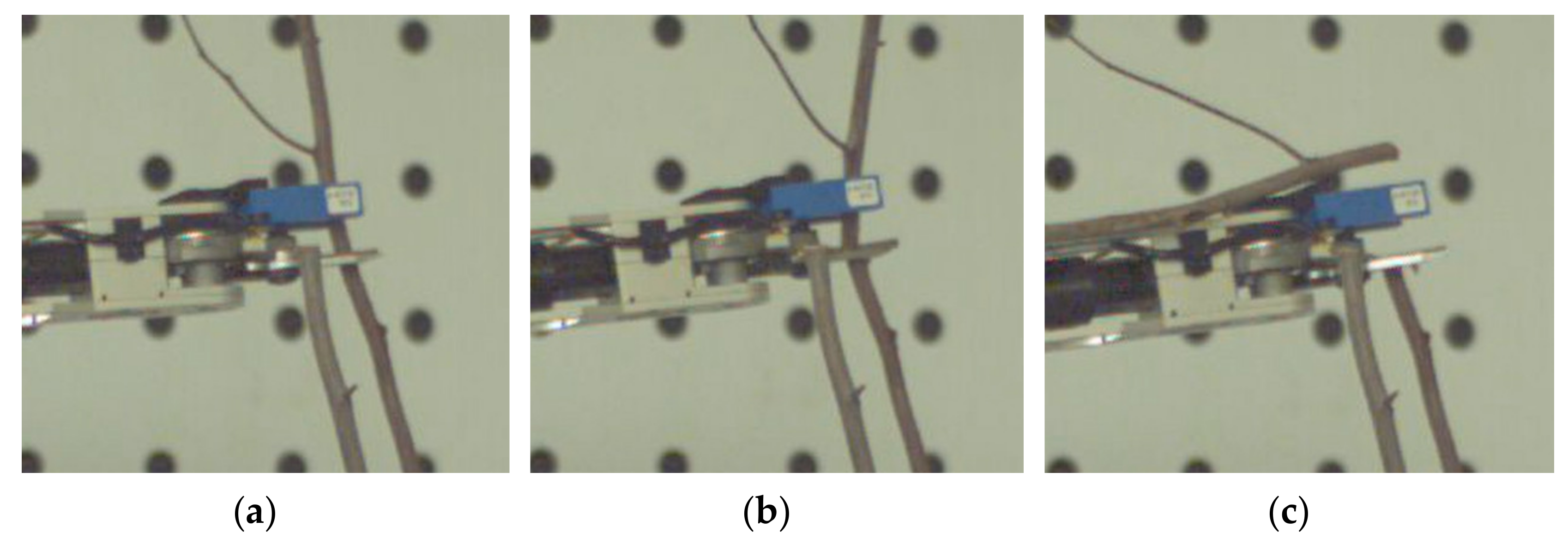 Agriculture 12 00552 g016 550