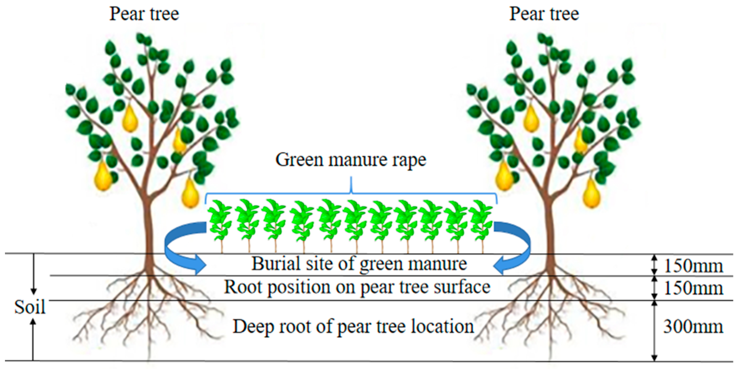 Agriculture 12 00569 g009 Agriculture 12 00569 g009