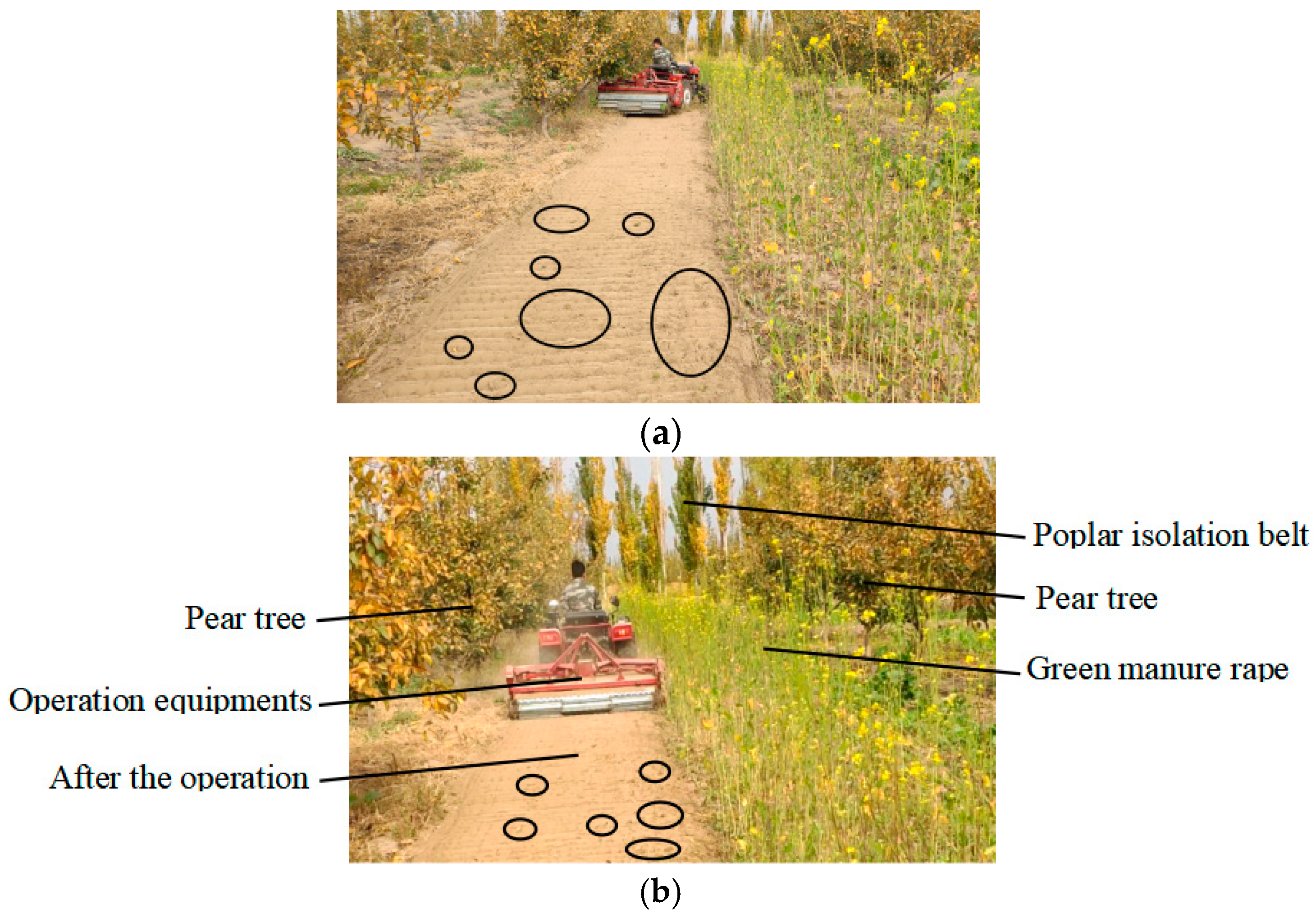 Agriculture 12 00569 g010 Agriculture 12 00569 g010
