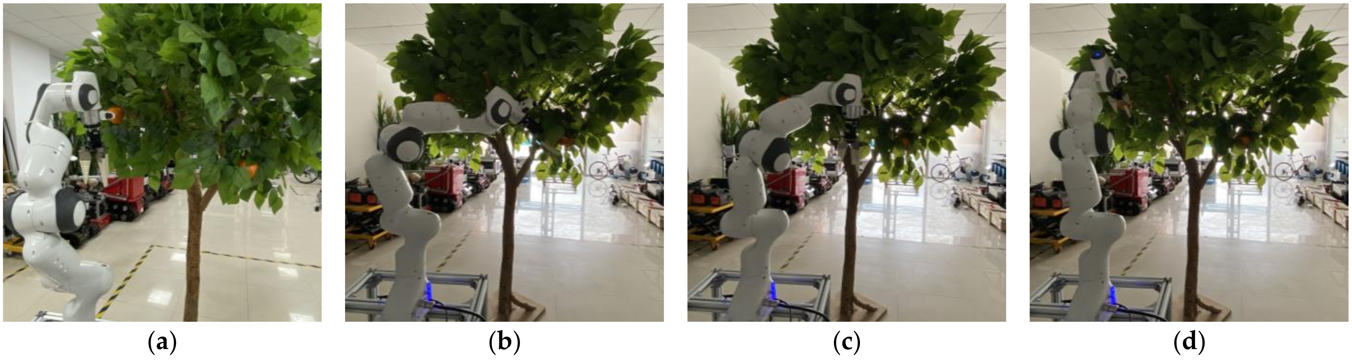 Agriculture 12 00581 g016 550