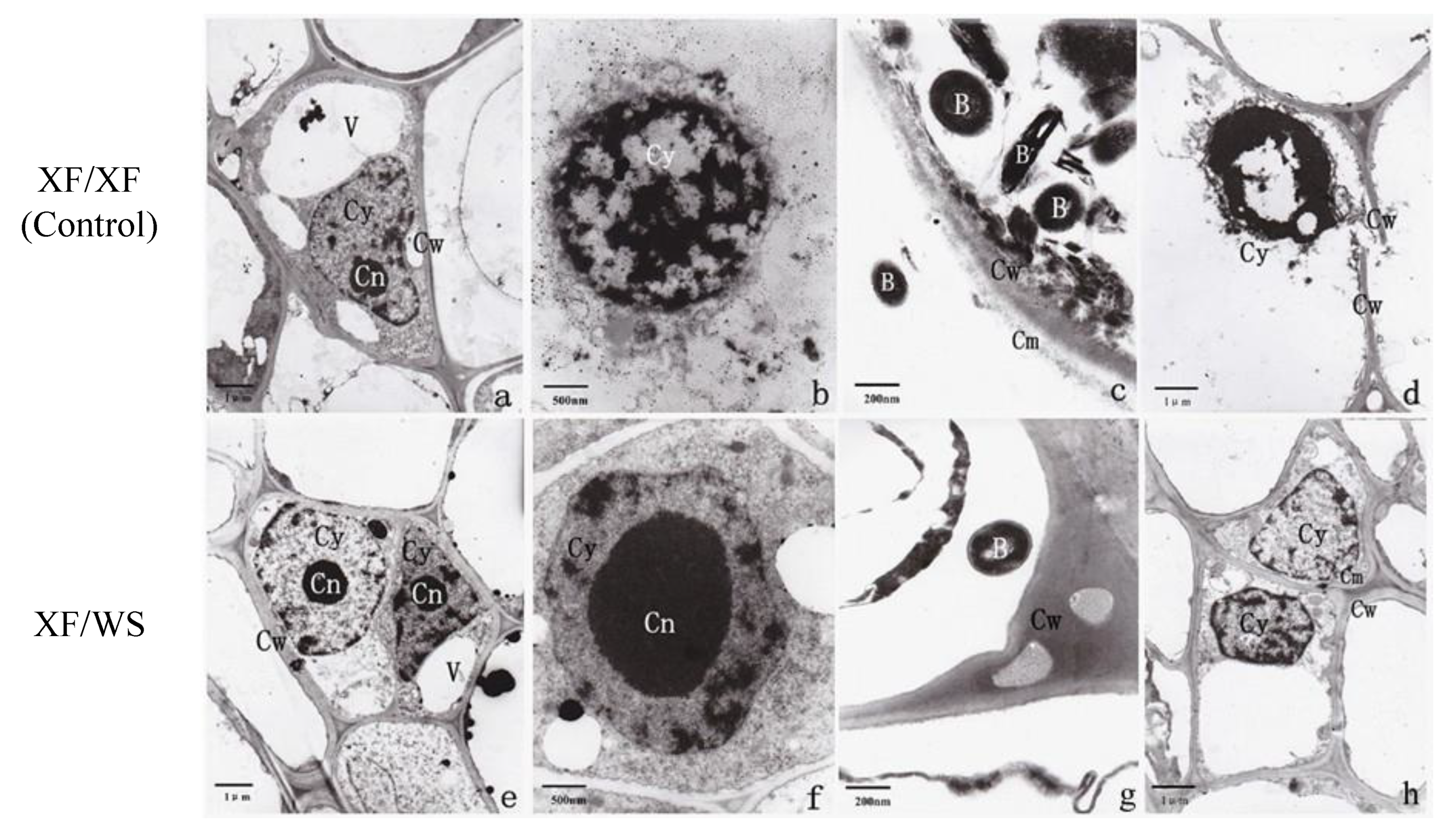 Agriculture 12 00583 g003
