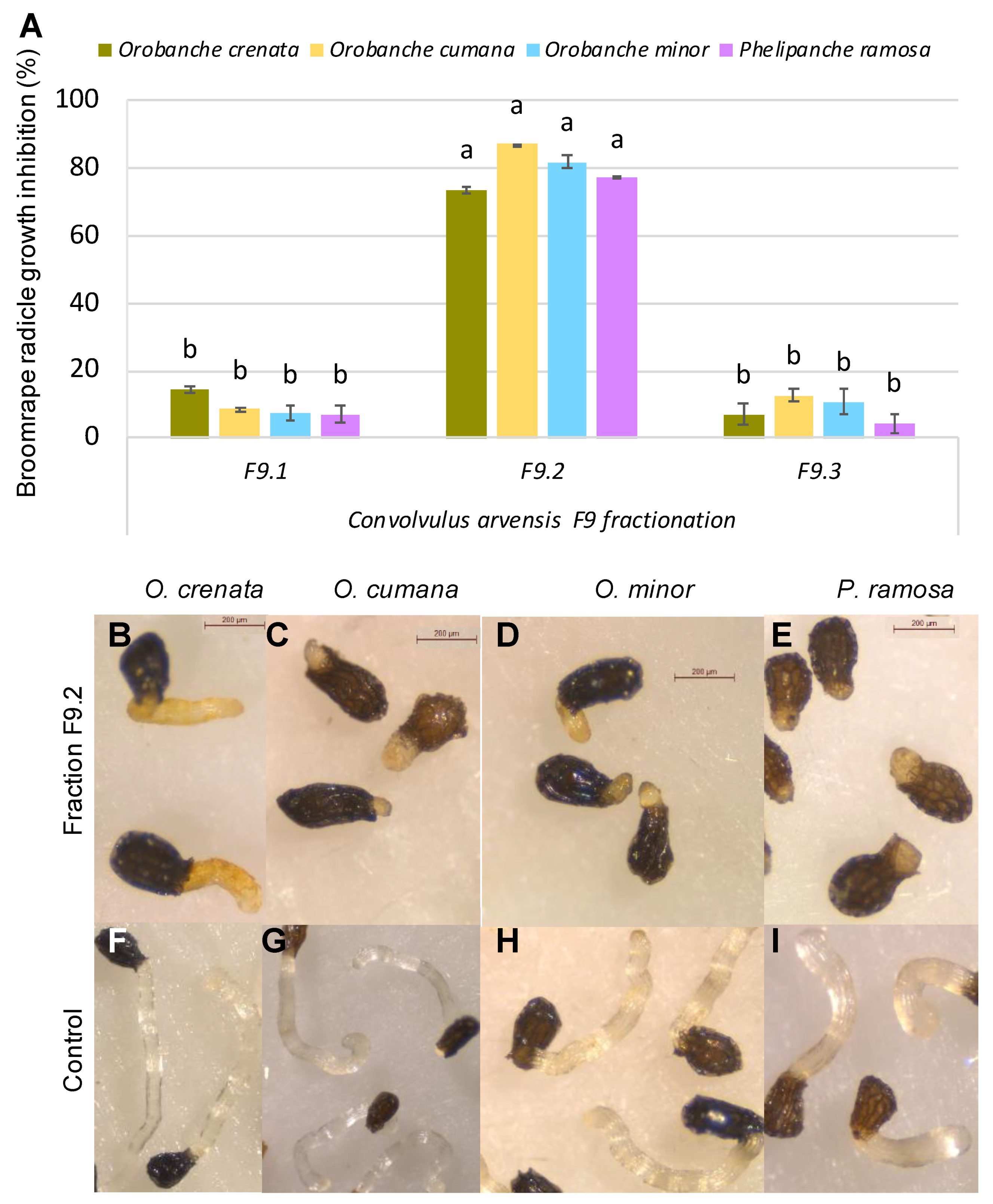 Agriculture 12 00585 g002 550