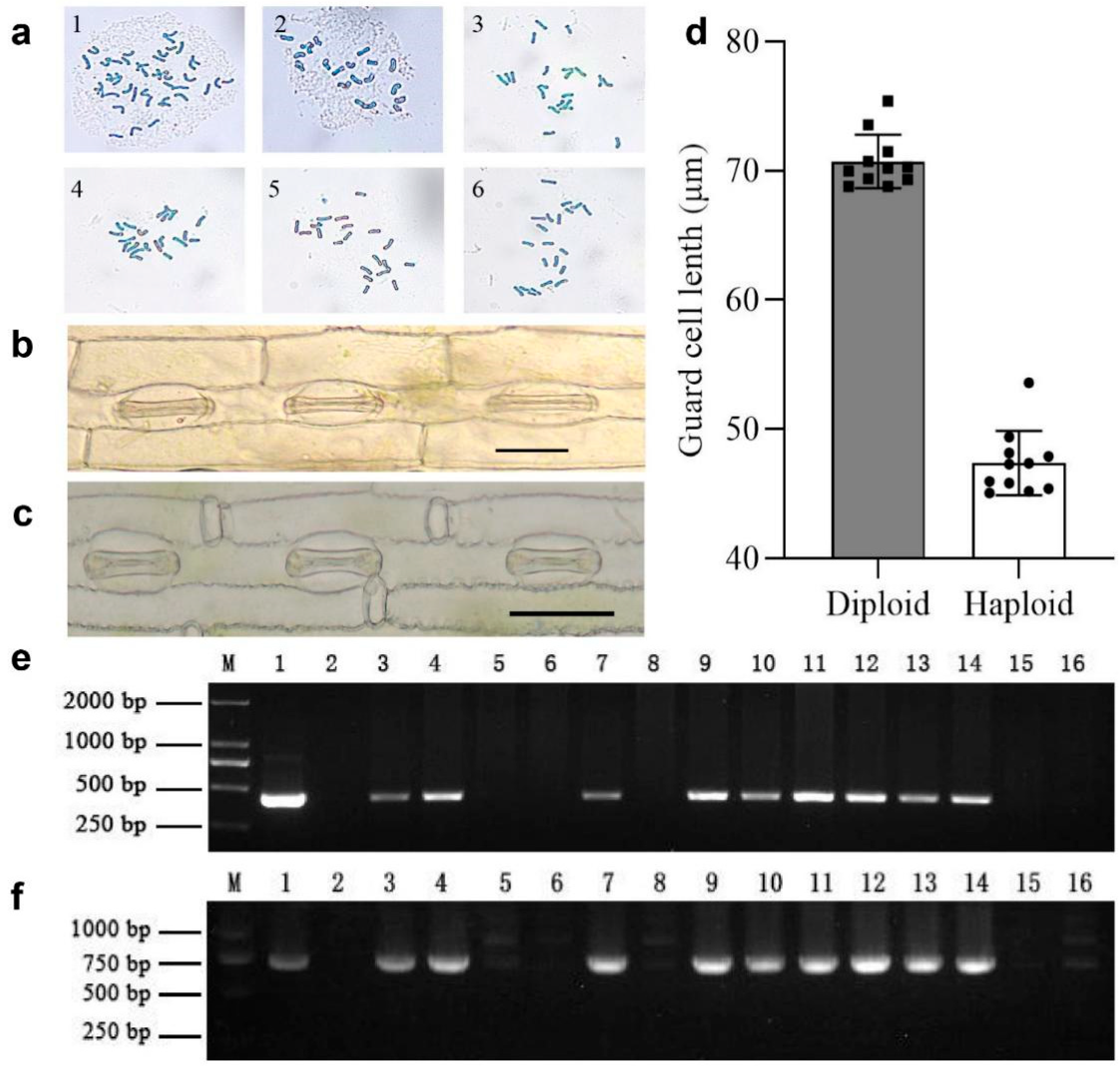 Agriculture 12 00587 g001