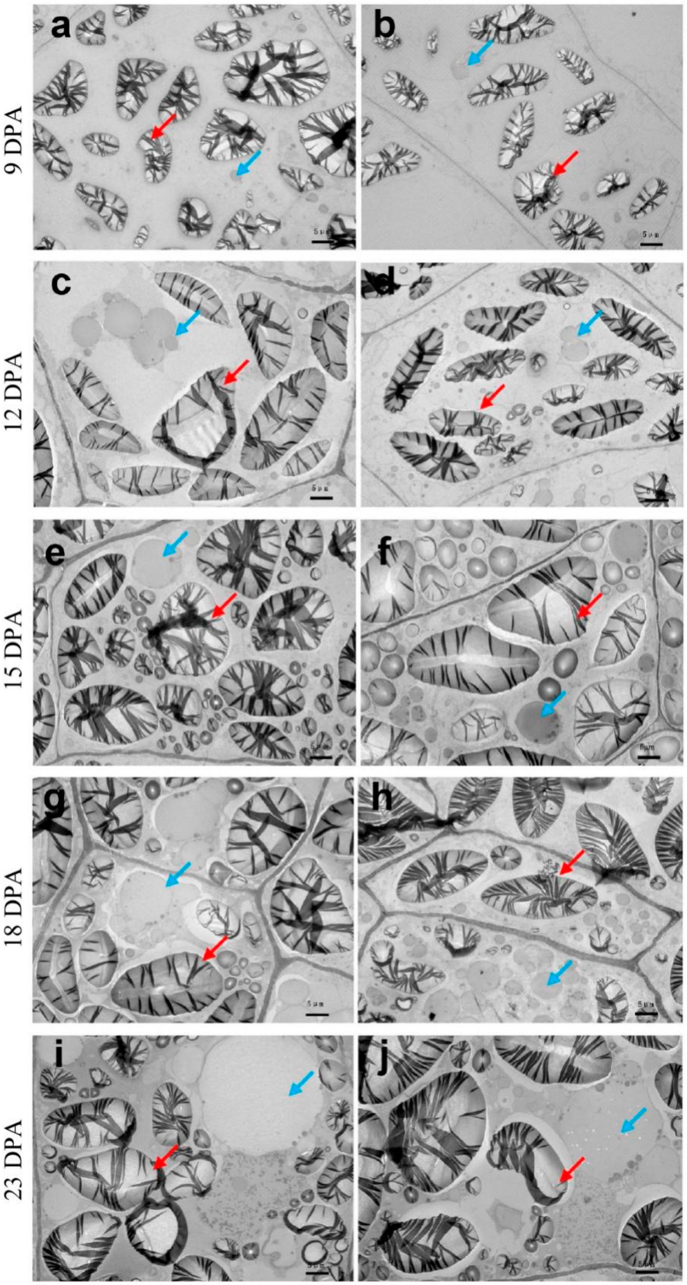 Agriculture 12 00587 g005