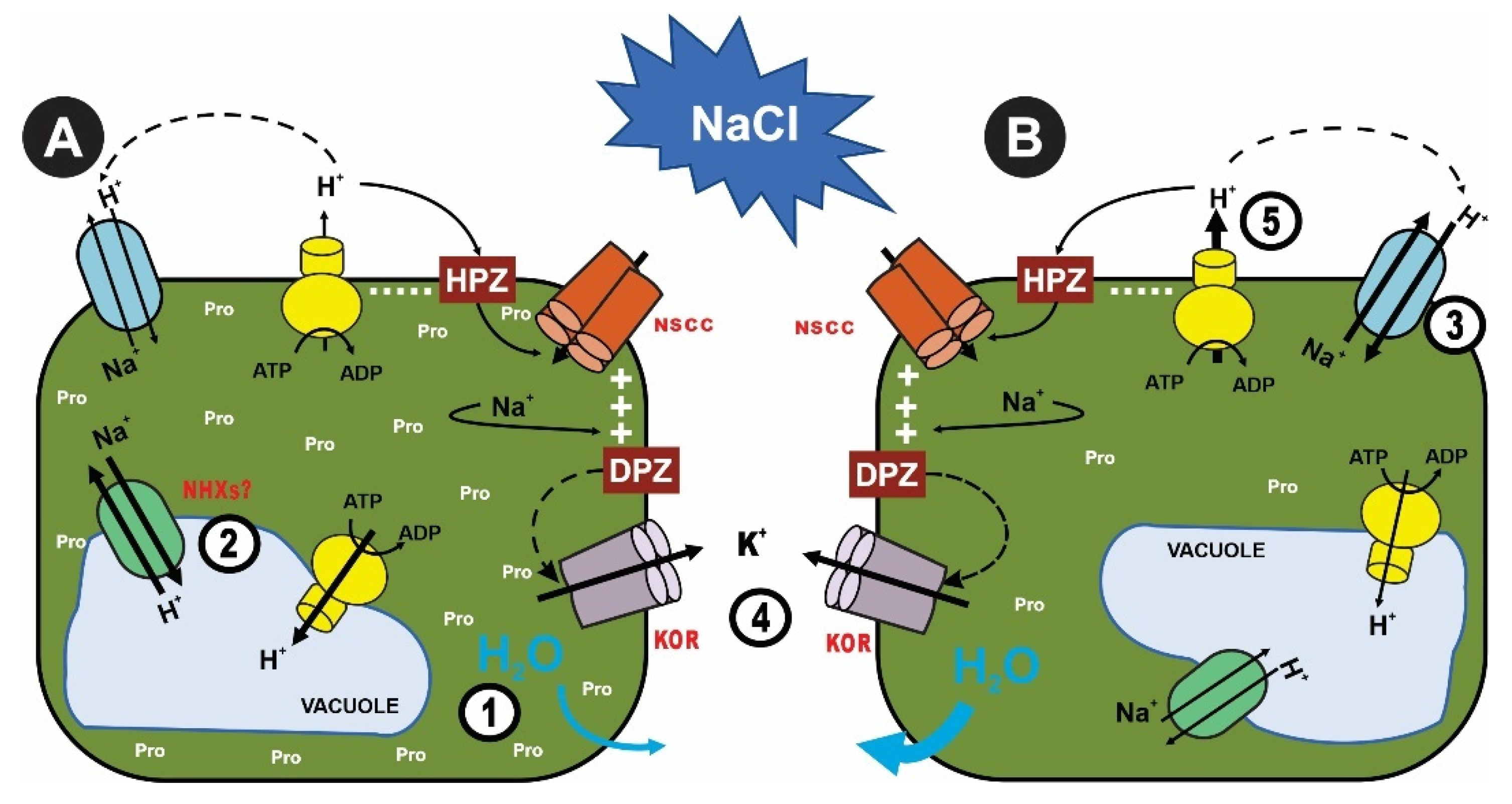 Agriculture 12 00594 g002 Agriculture 12 00594 g002