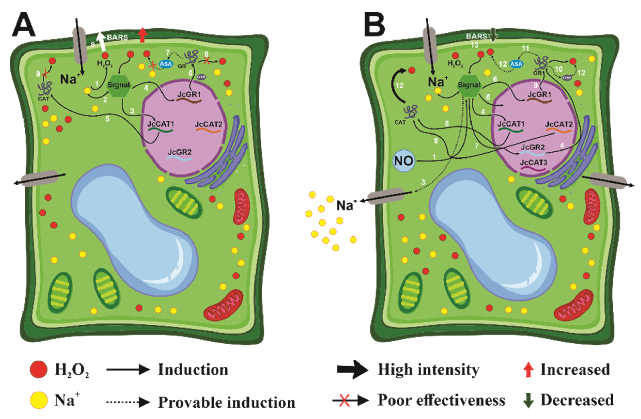 Agriculture 12 00594 g004 Agriculture 12 00594 g004