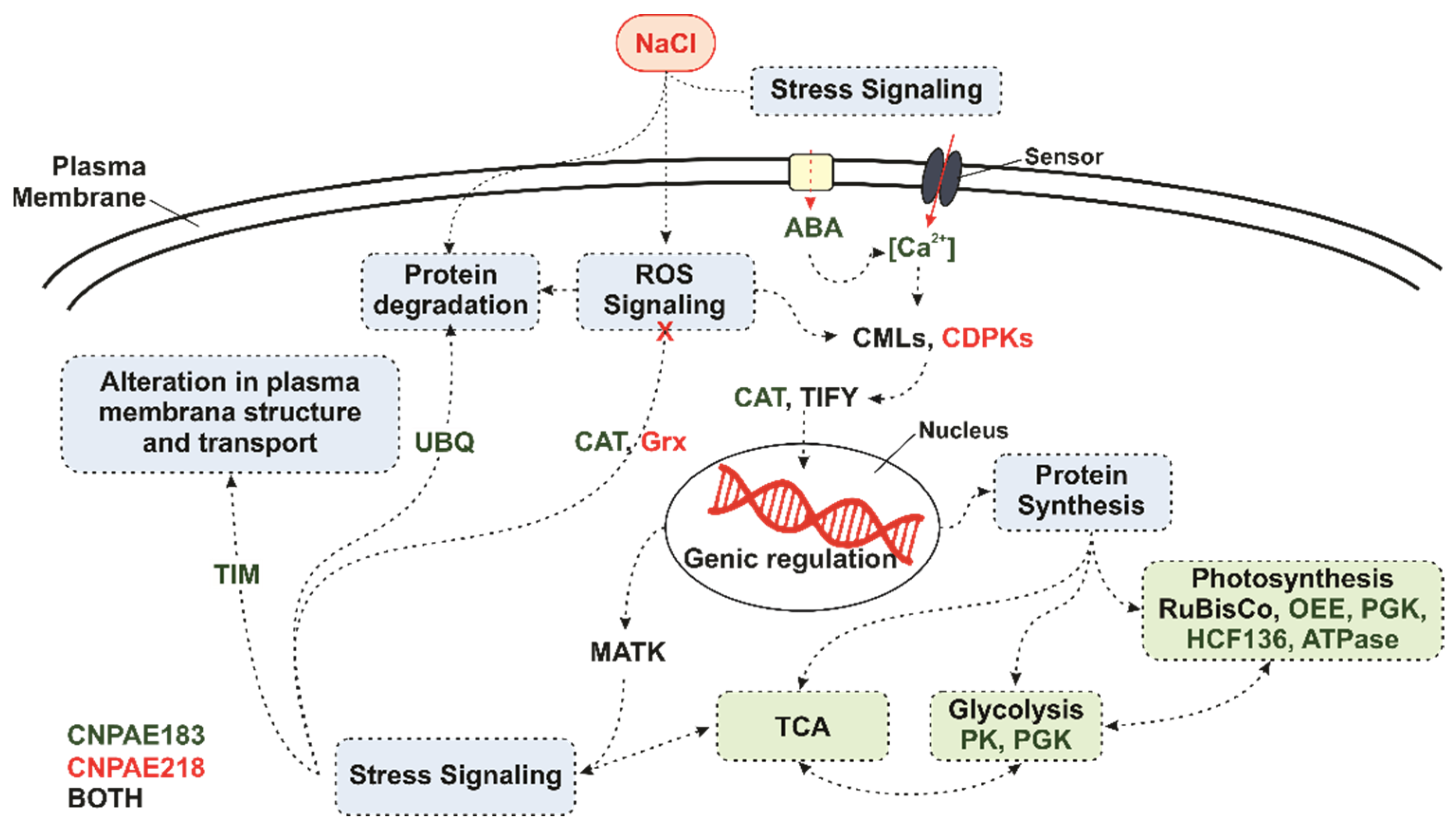 Agriculture 12 00594 g005 Agriculture 12 00594 g005