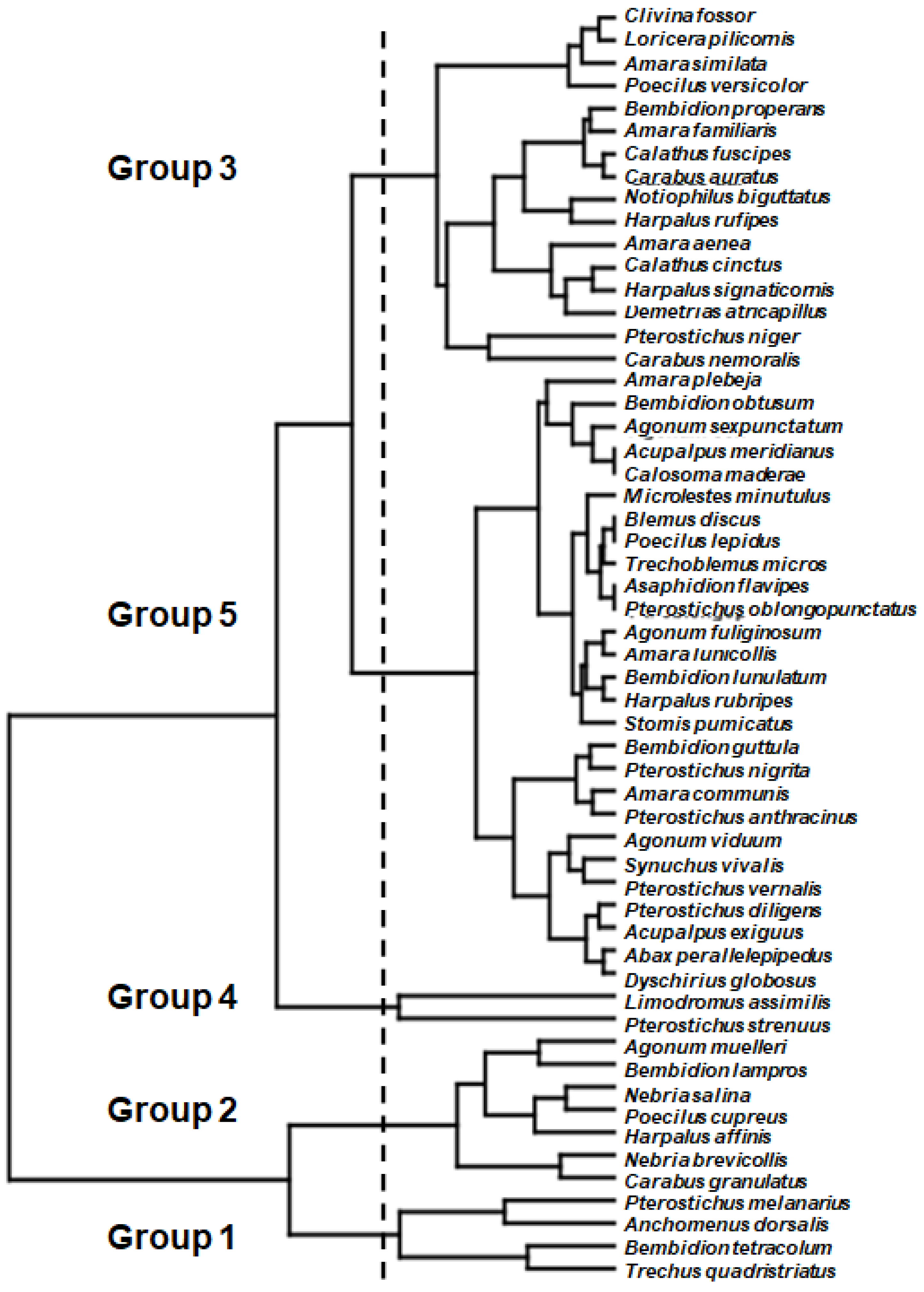 Agriculture 12 00596 g003