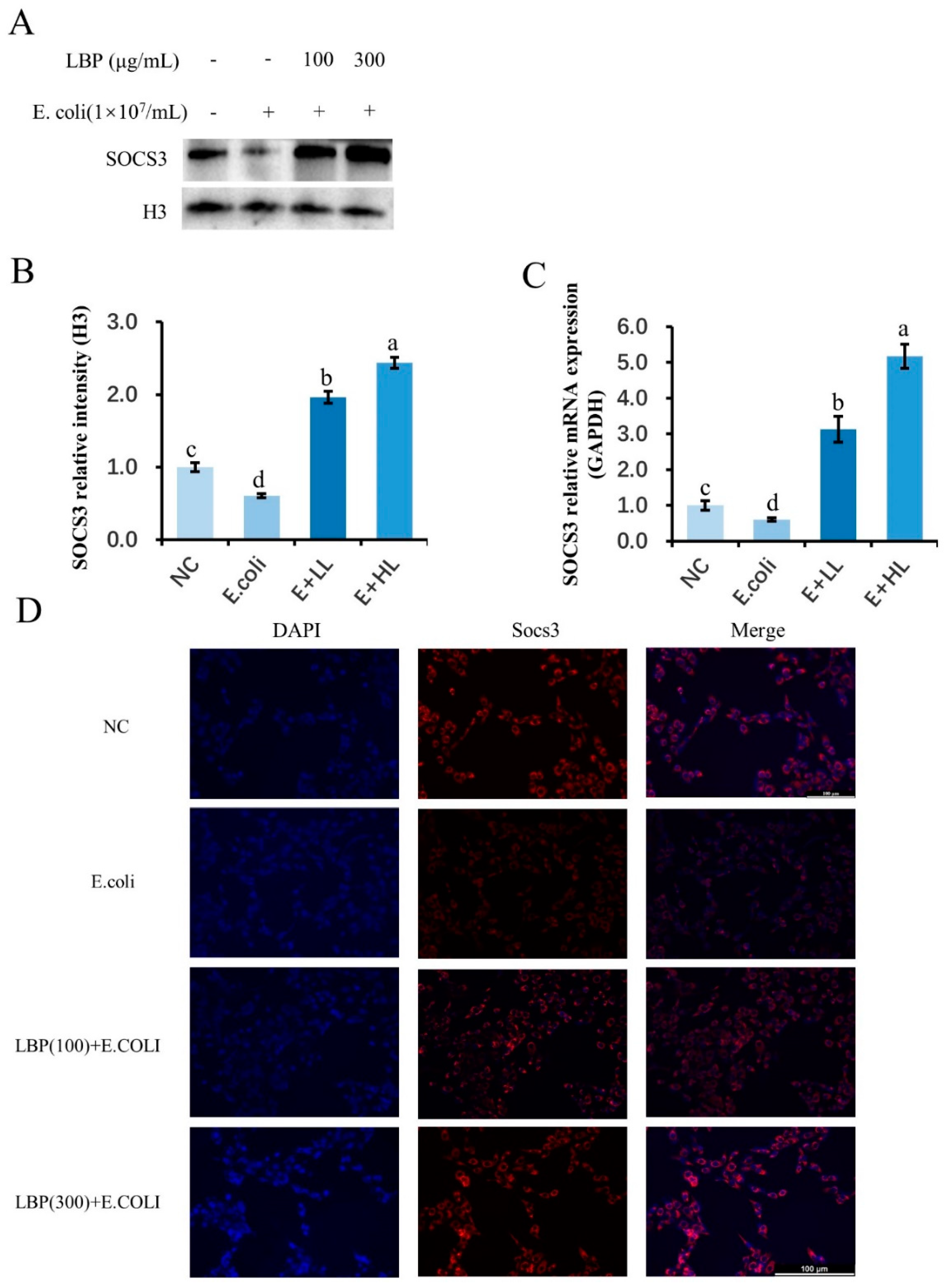 Agriculture 12 00598 g004 550