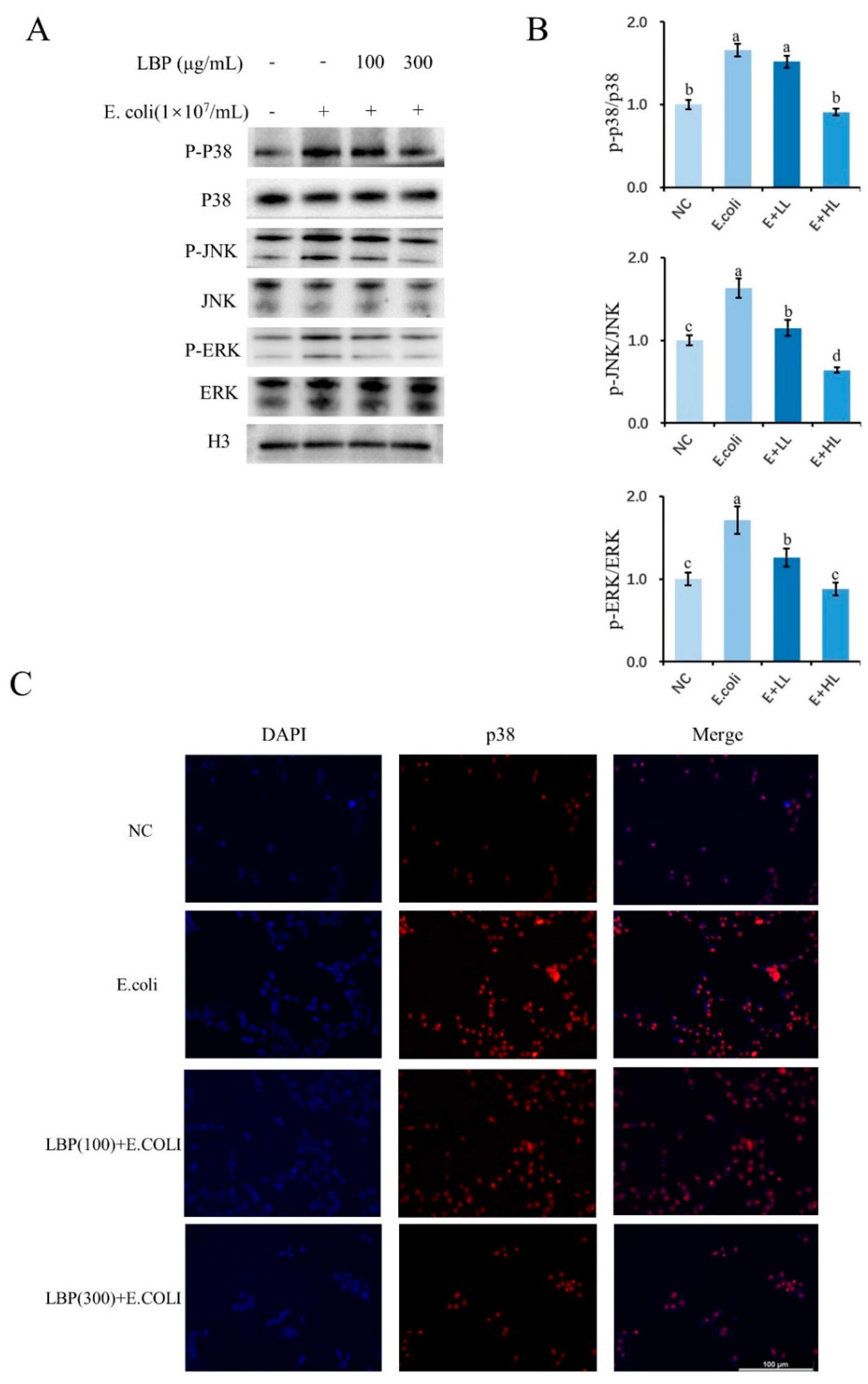 Agriculture 12 00598 g005 550