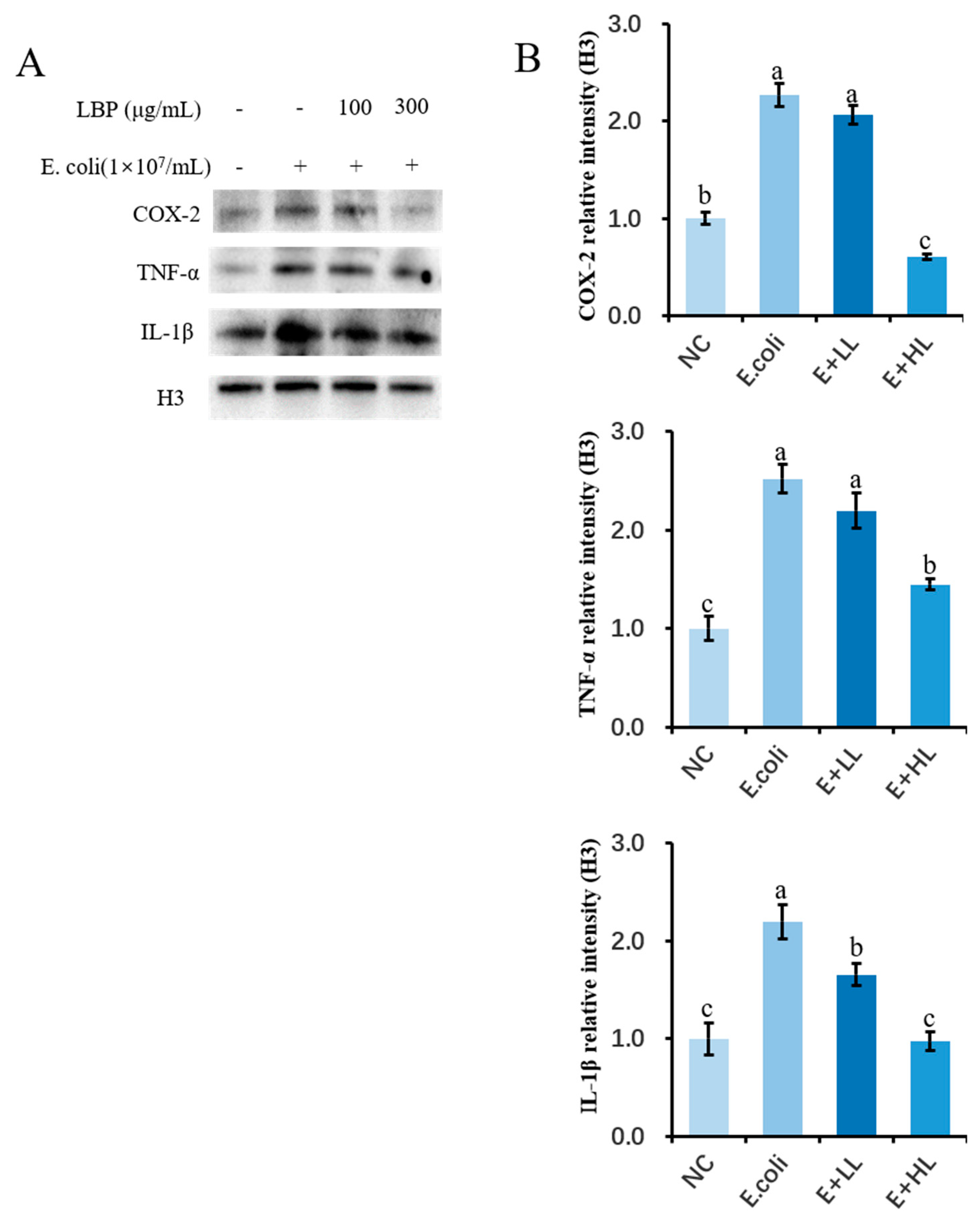 Agriculture 12 00598 g006 550