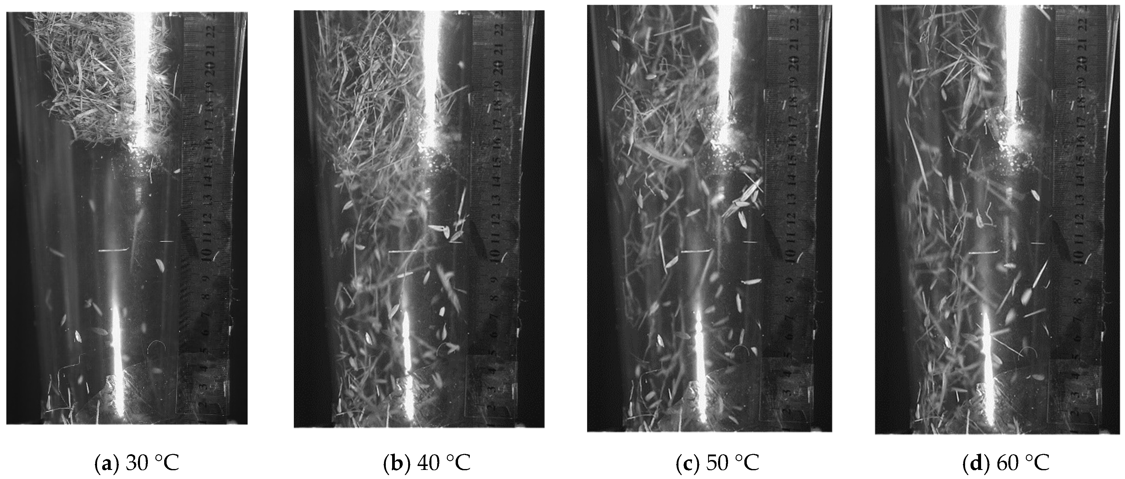 Agriculture 12 00601 g007 550