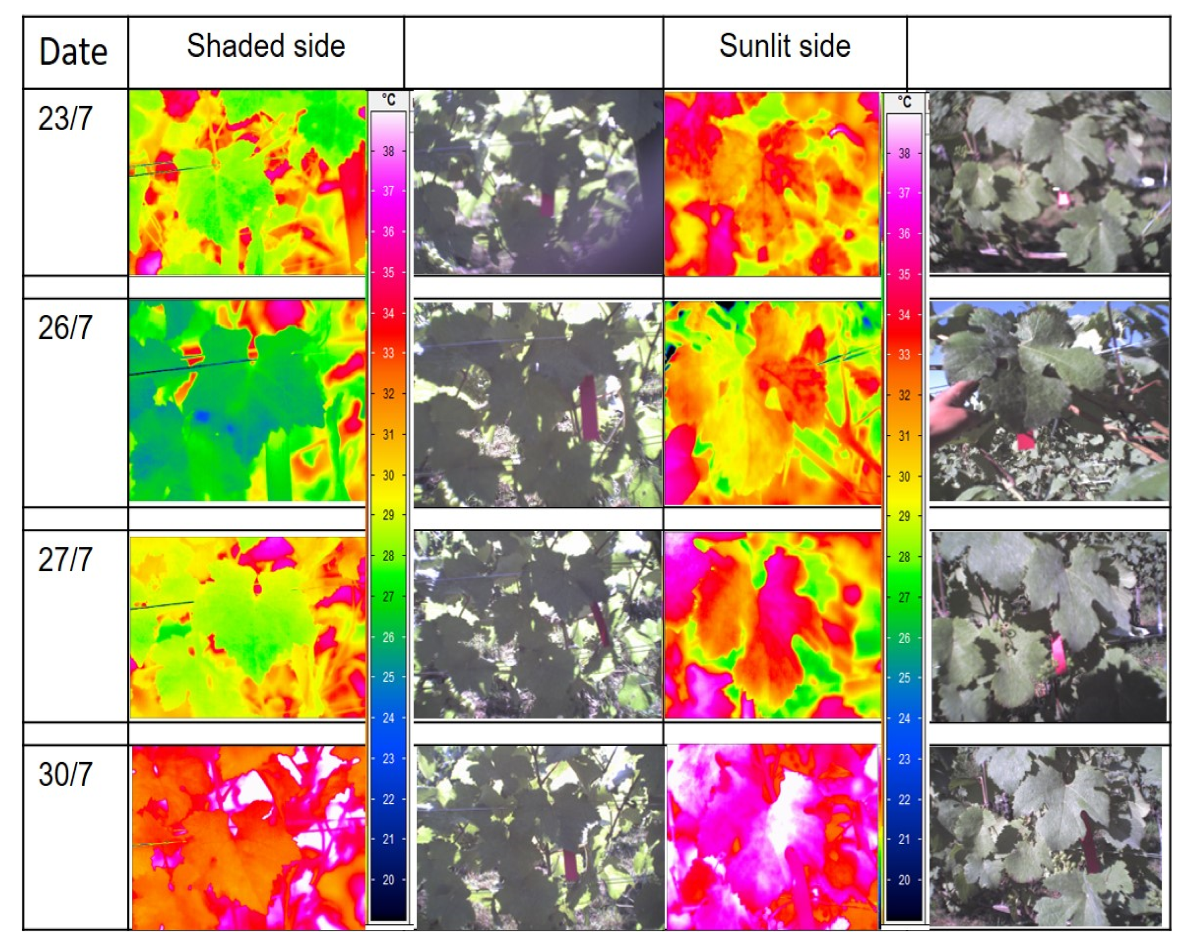Agriculture 12 00617 g004 Agriculture 12 00617 g004