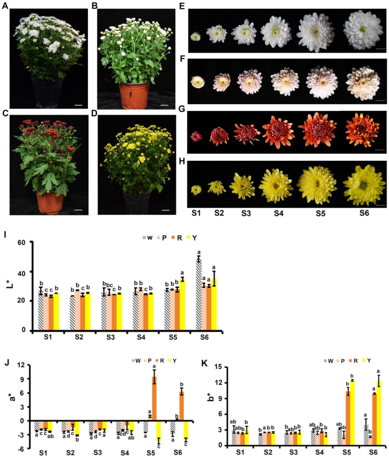 Agriculture 12 00635 g001 550