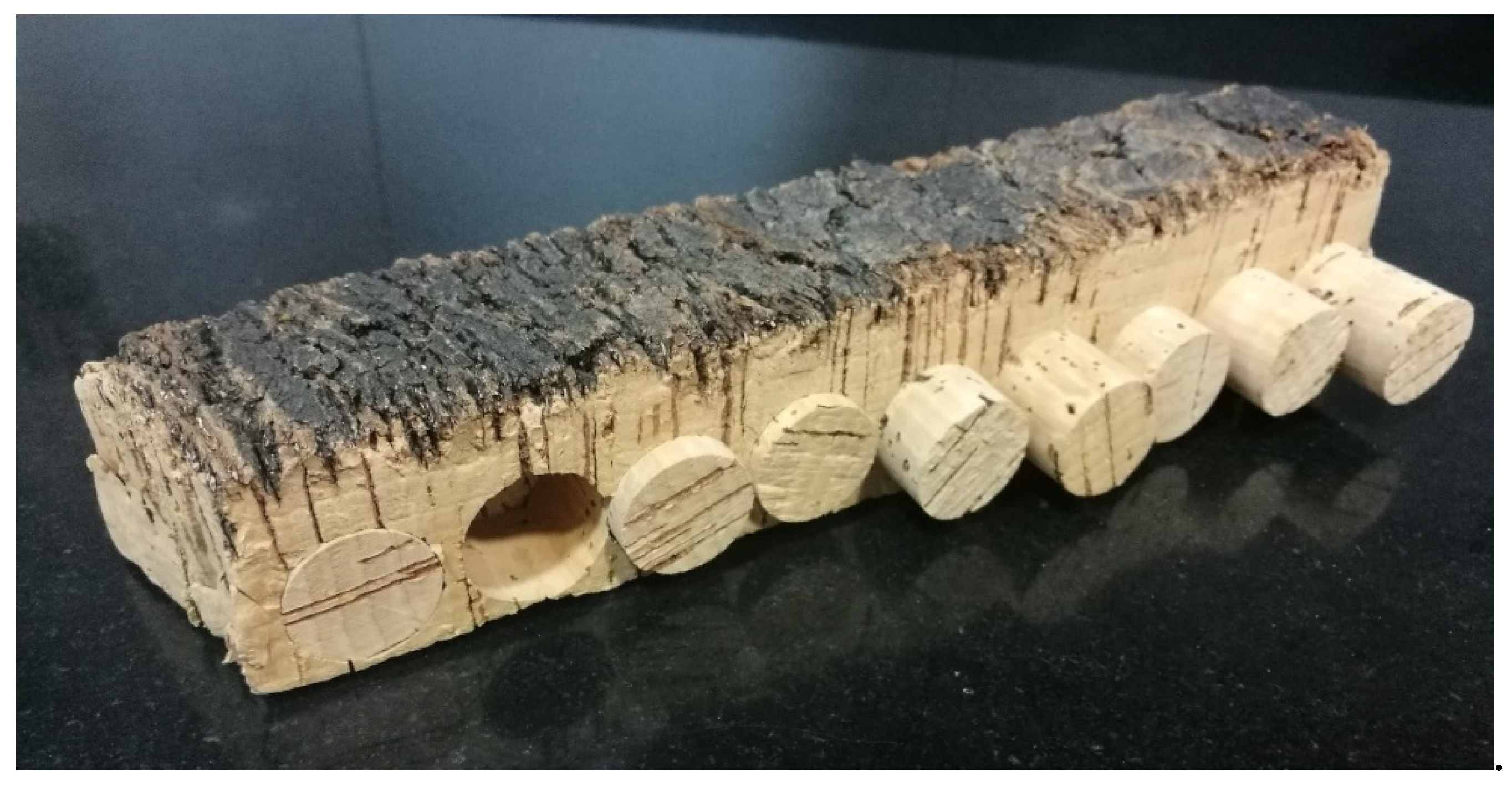 Agriculture 12 00636 g003 550