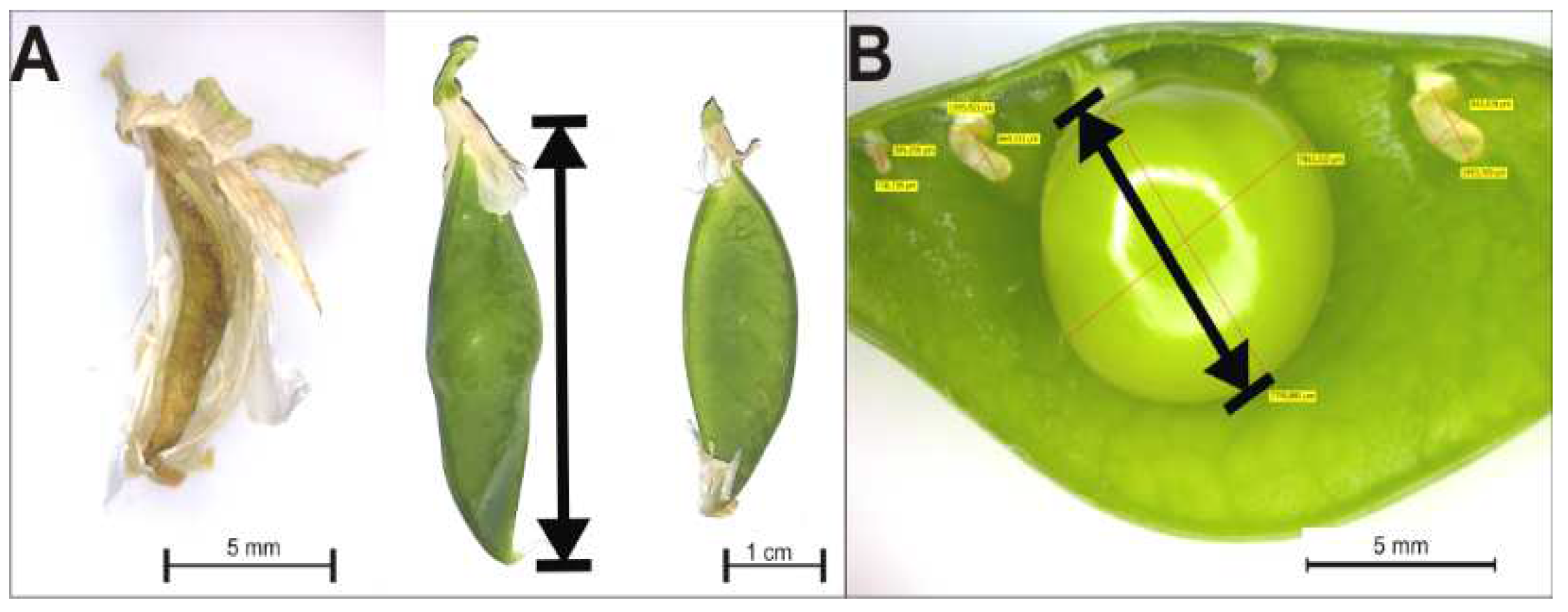 Agriculture 12 00637 g001 550