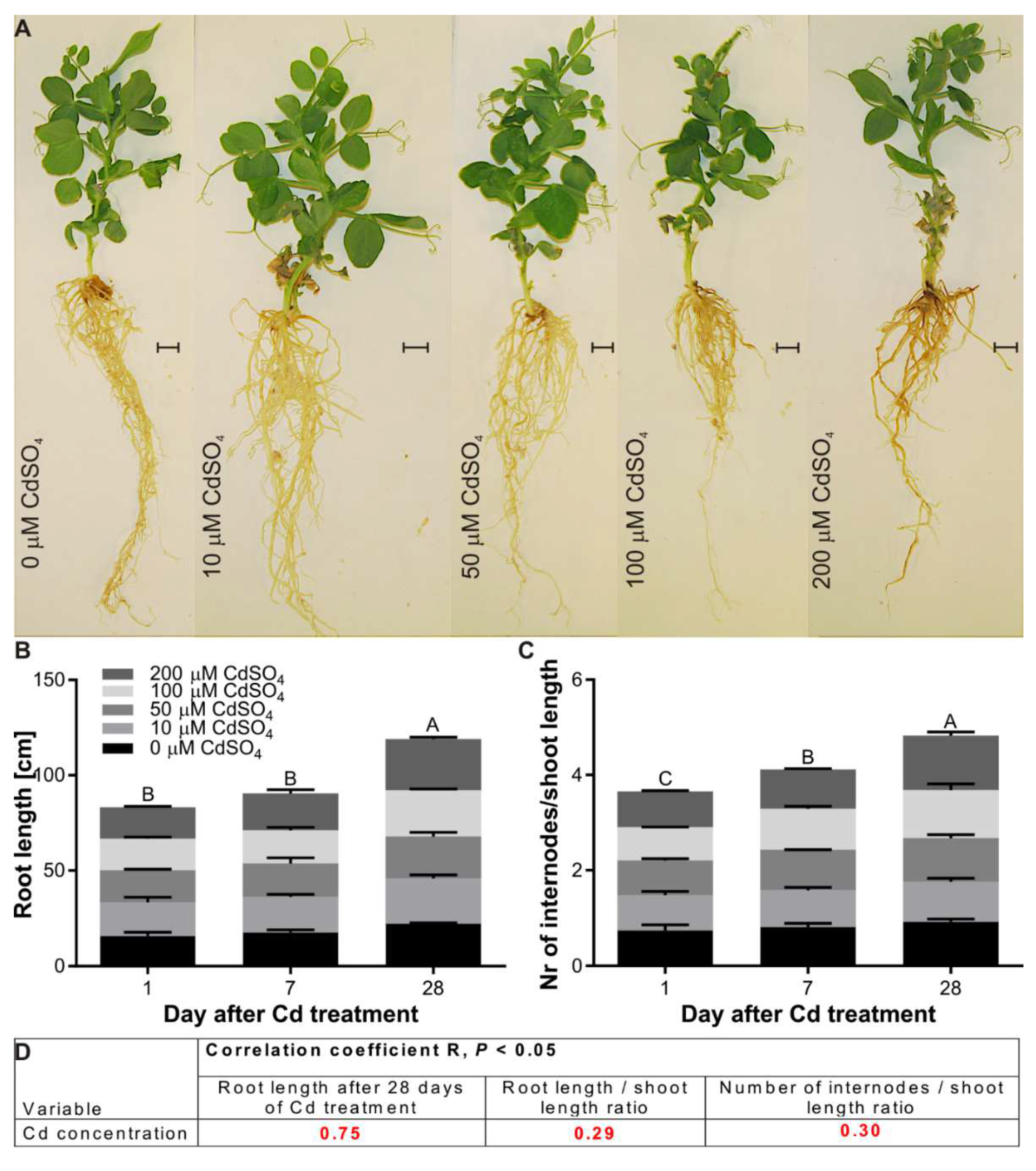 Agriculture 12 00637 g003 550