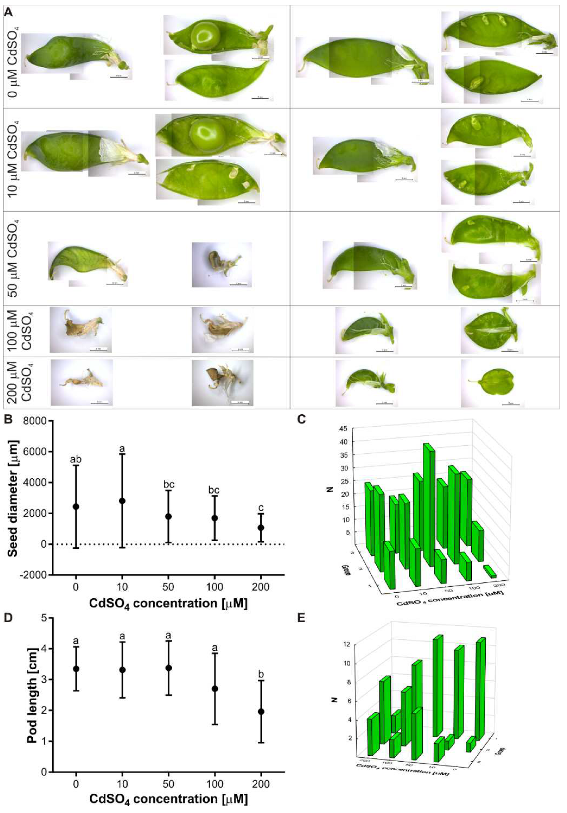 Agriculture 12 00637 g005 550