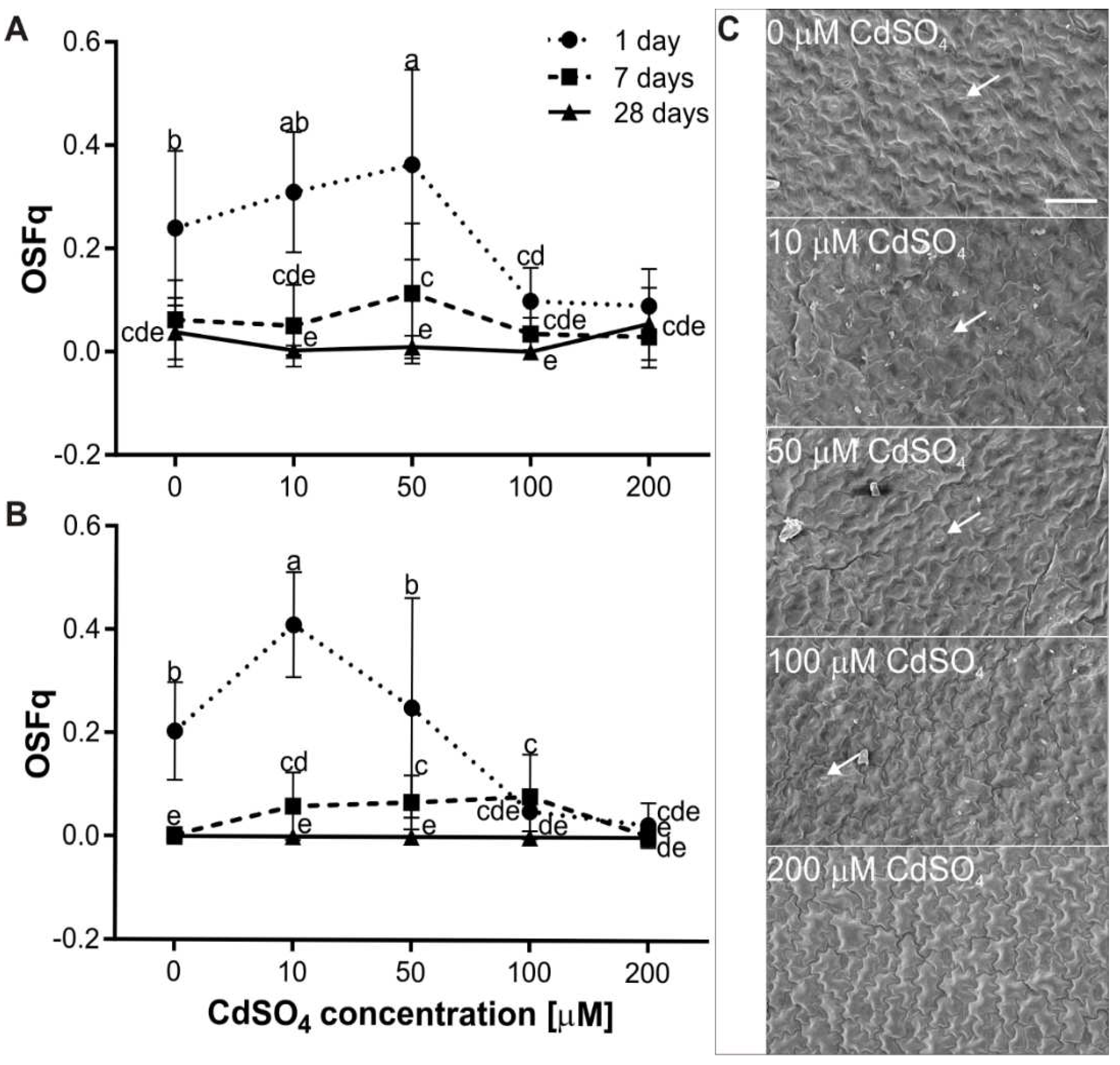 Agriculture 12 00637 g007 550