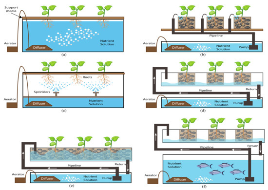 A Review on Hydroponics and the Technologies Associated for Medium 