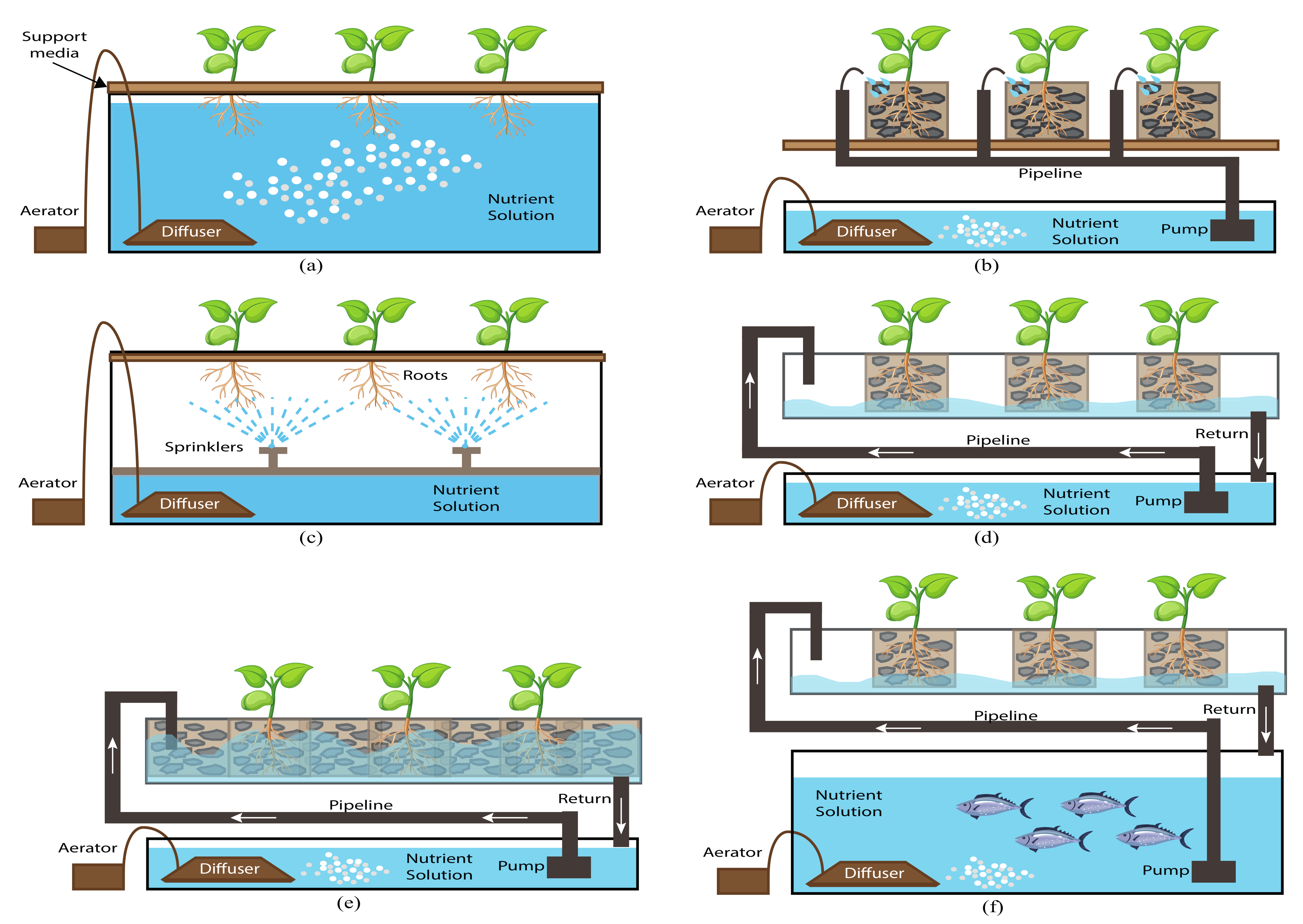 DIY wooden base with elevated water storage tank for autonomous drip  irrigation of garden bed and growing green fresh organic vegetable in  eco-friendly small greenhouse yard. Domestic farming concept Stock Photo