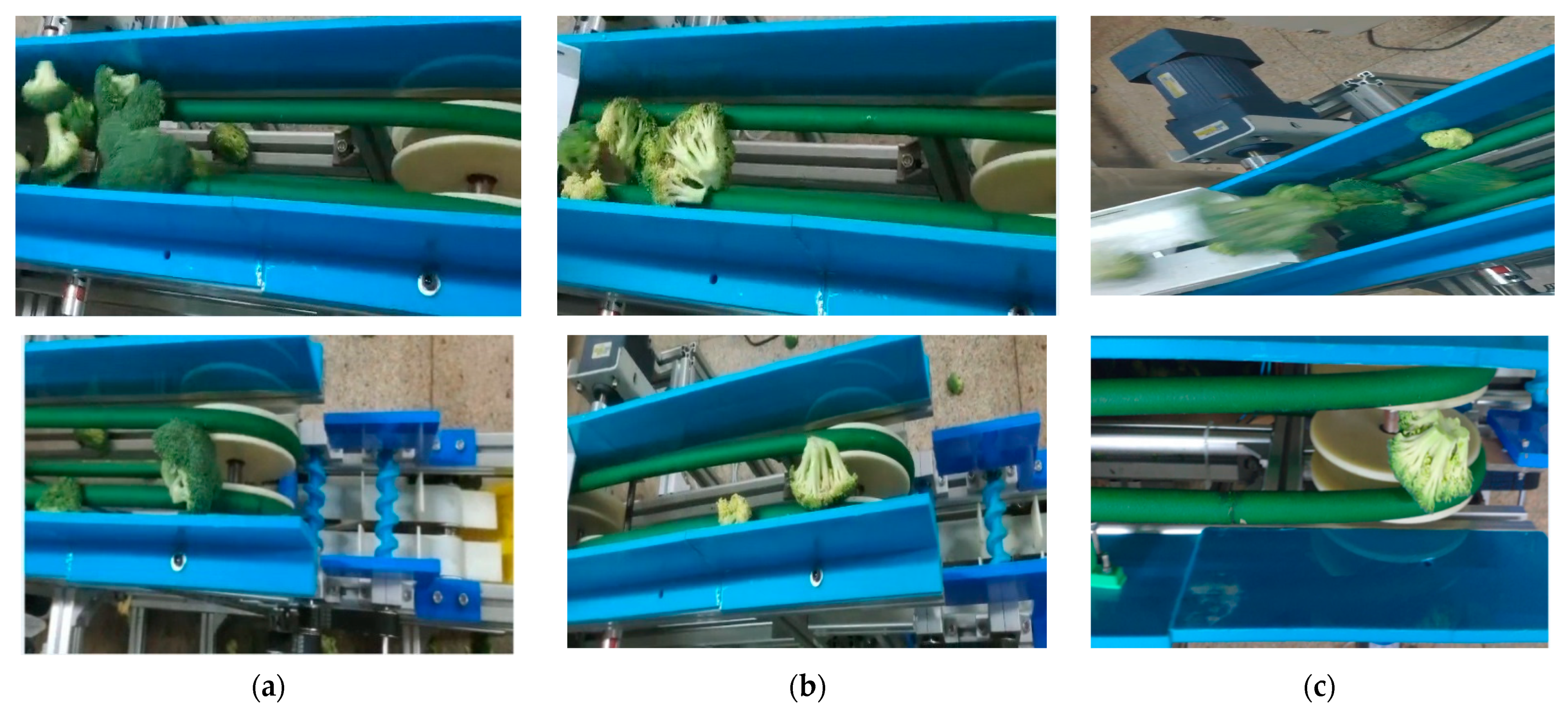 Agriculture 12 00650 g019