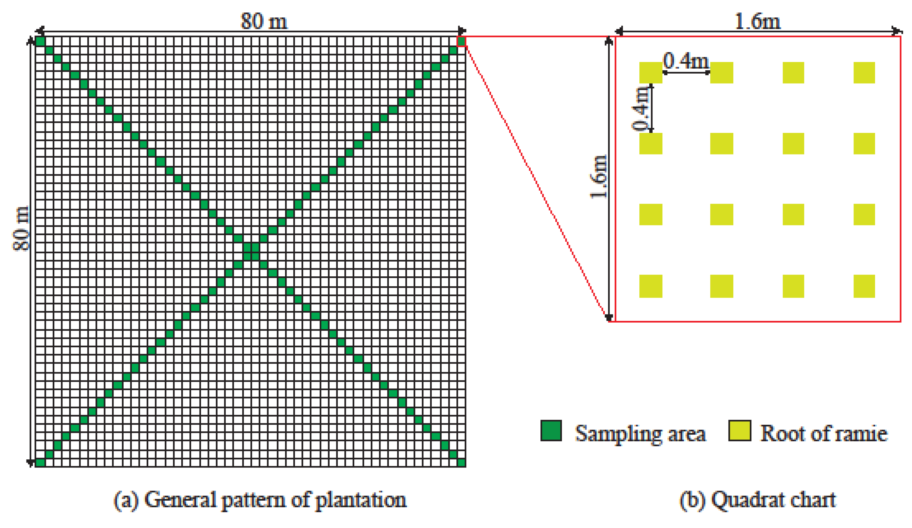 Agriculture 12 00651 g001 550
