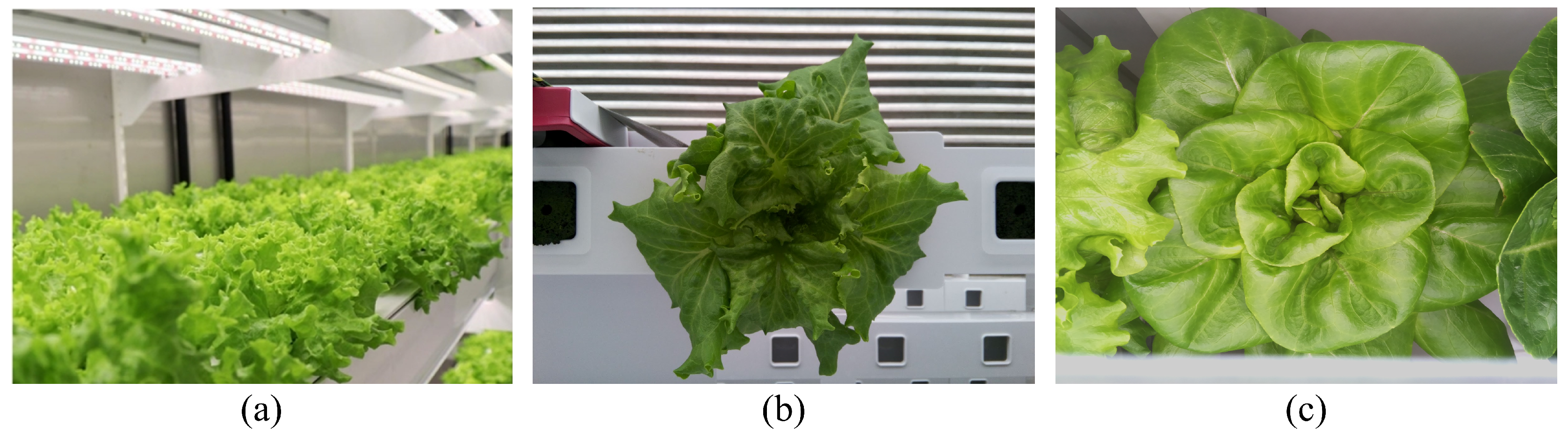 Agriculture 12 00656 g001 550