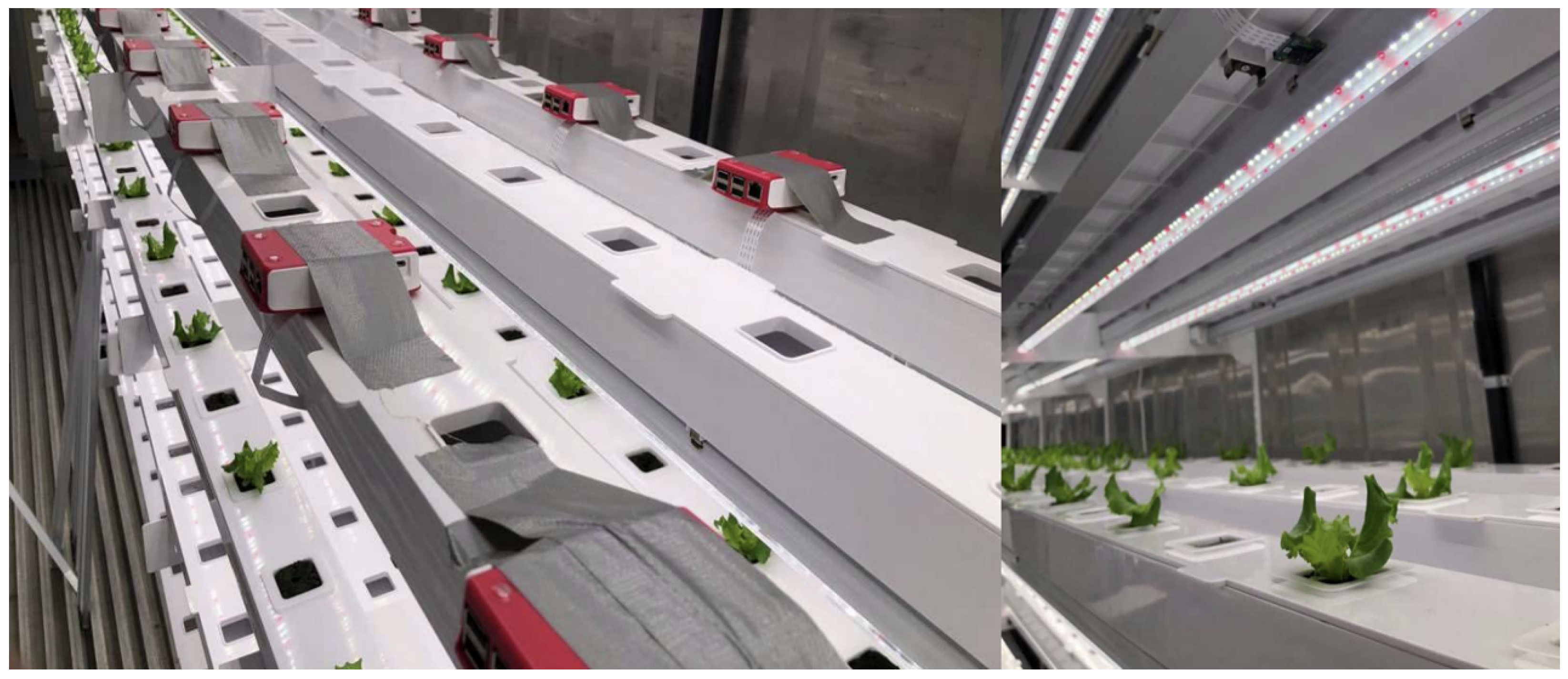 Agriculture 12 00656 g003 550