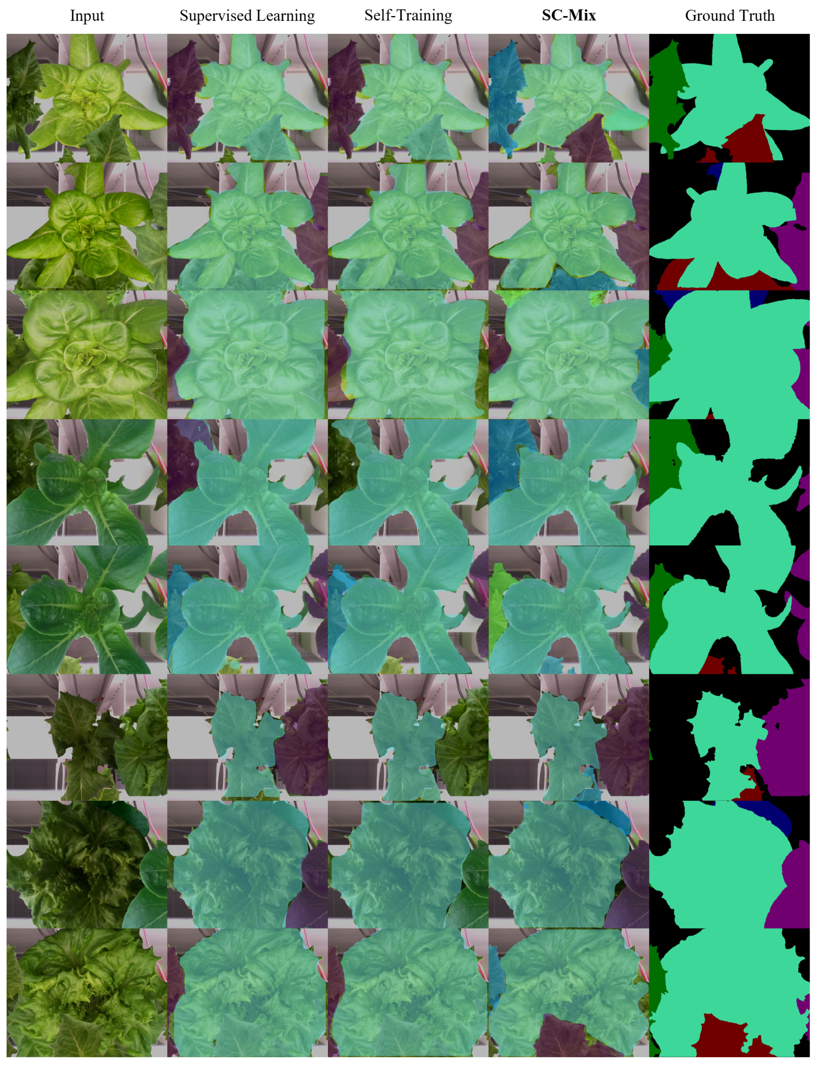 Agriculture 12 00656 g008 550