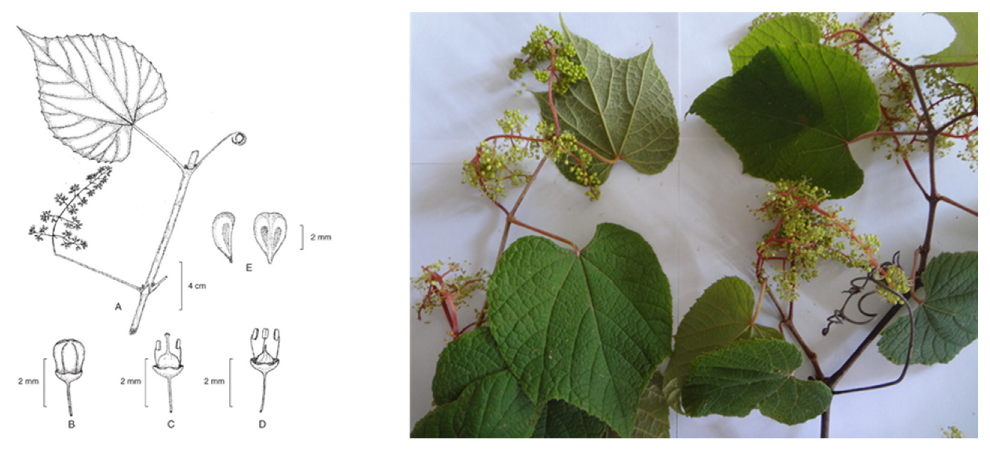 Agriculture 12 00659 g001