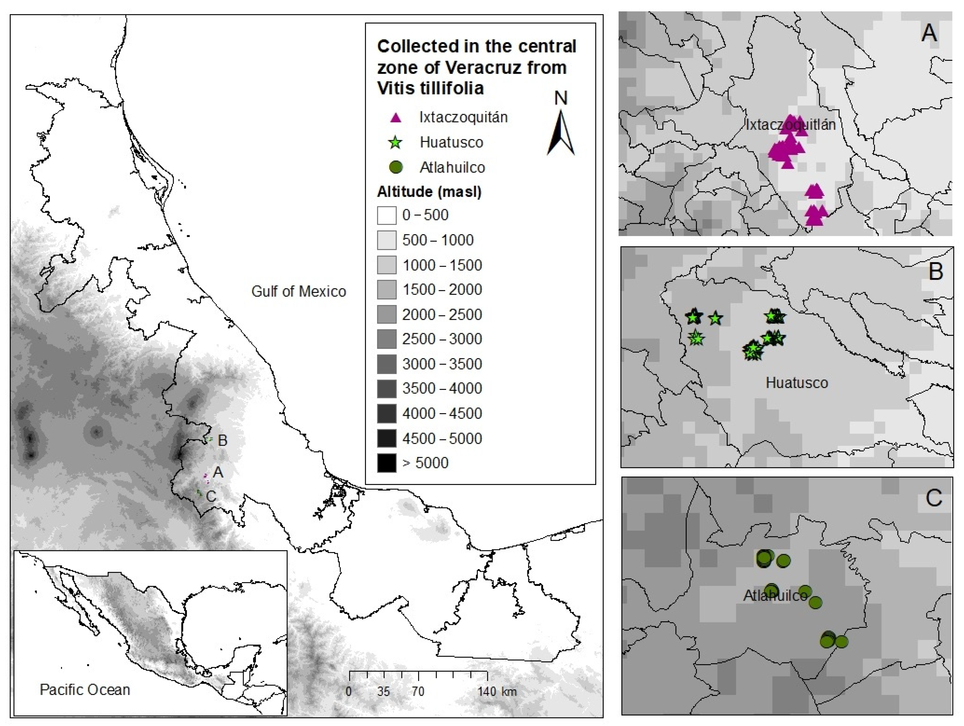 Agriculture 12 00659 g002