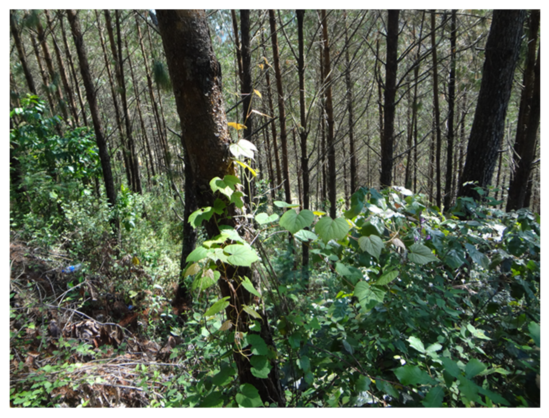 Agriculture 12 00659 g003